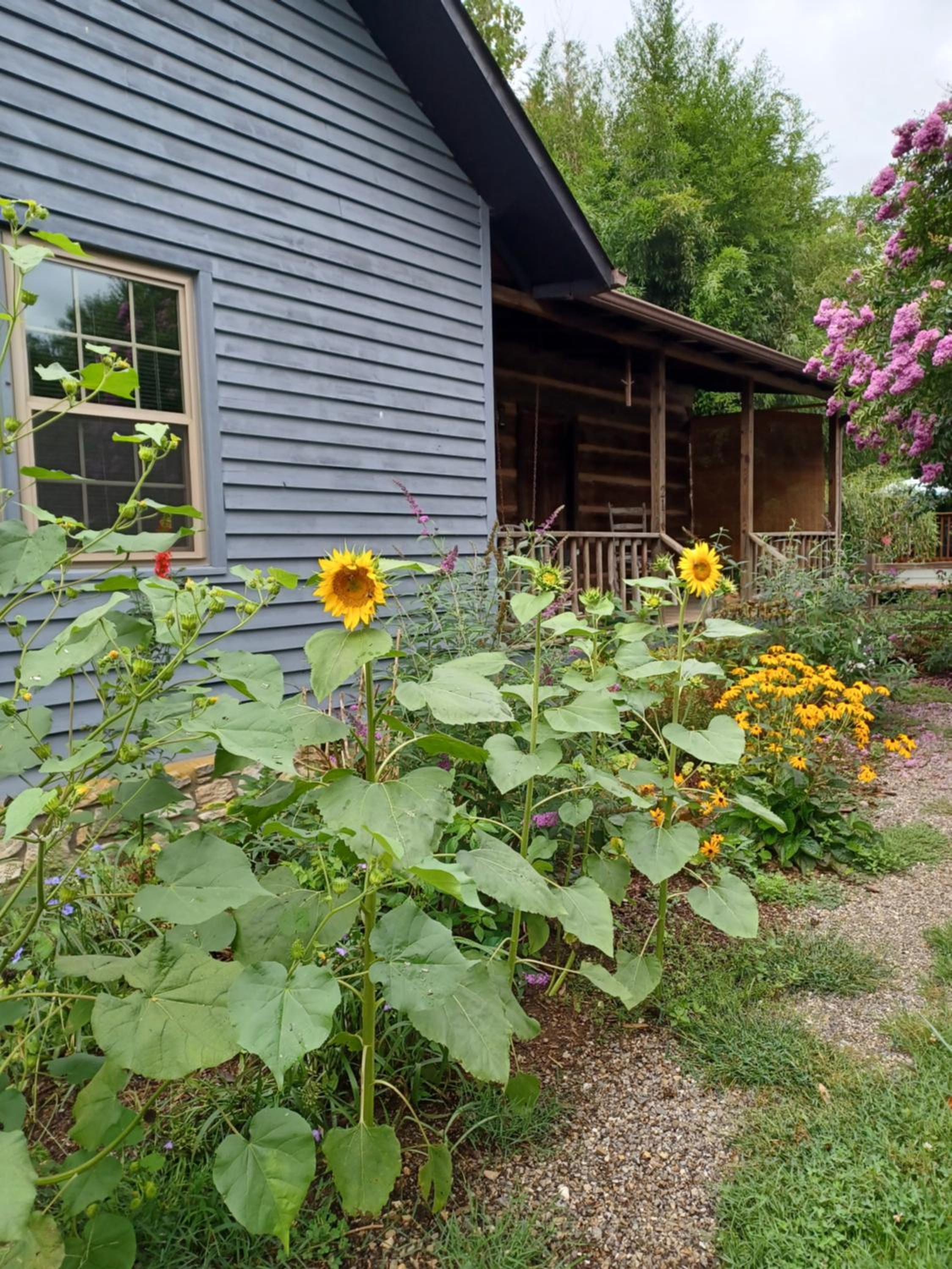 Restored1850s log cabin, with gazebo and gardens! 1 mile to downtown Weaverville