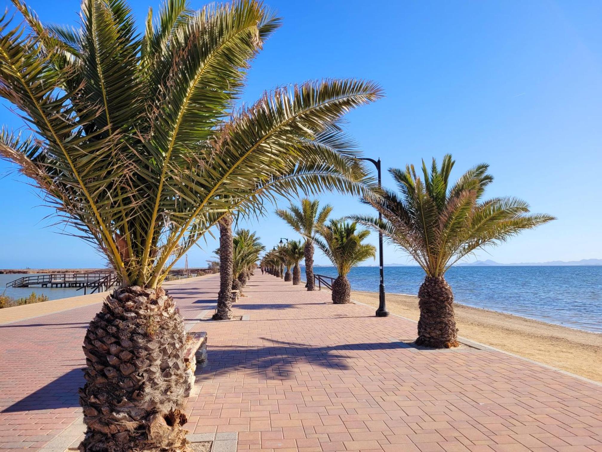 Casa La Palmera Sunrise