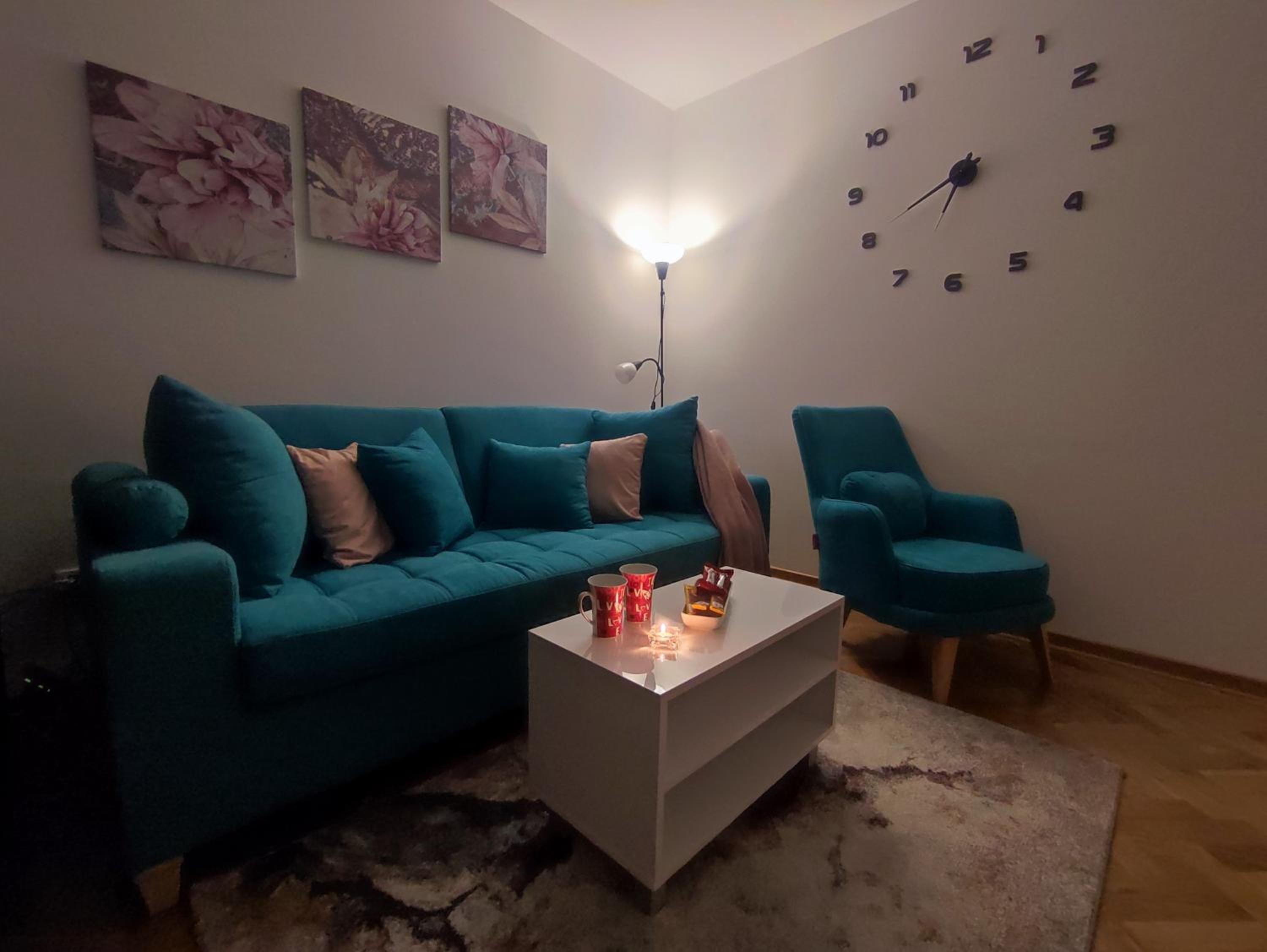 Apartman PINA Vrnjacka Banja view 4