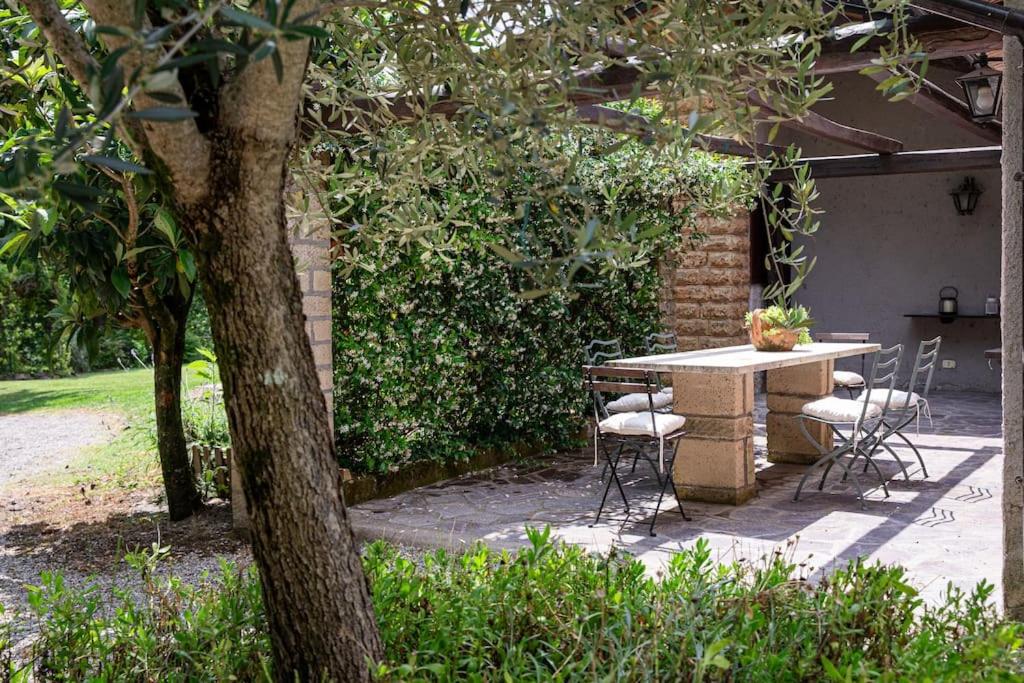 Villa Letizia with pool - 10 min drive to Orvieto town