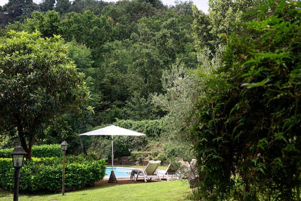 Villa Letizia with pool - 10 min drive to Orvieto town