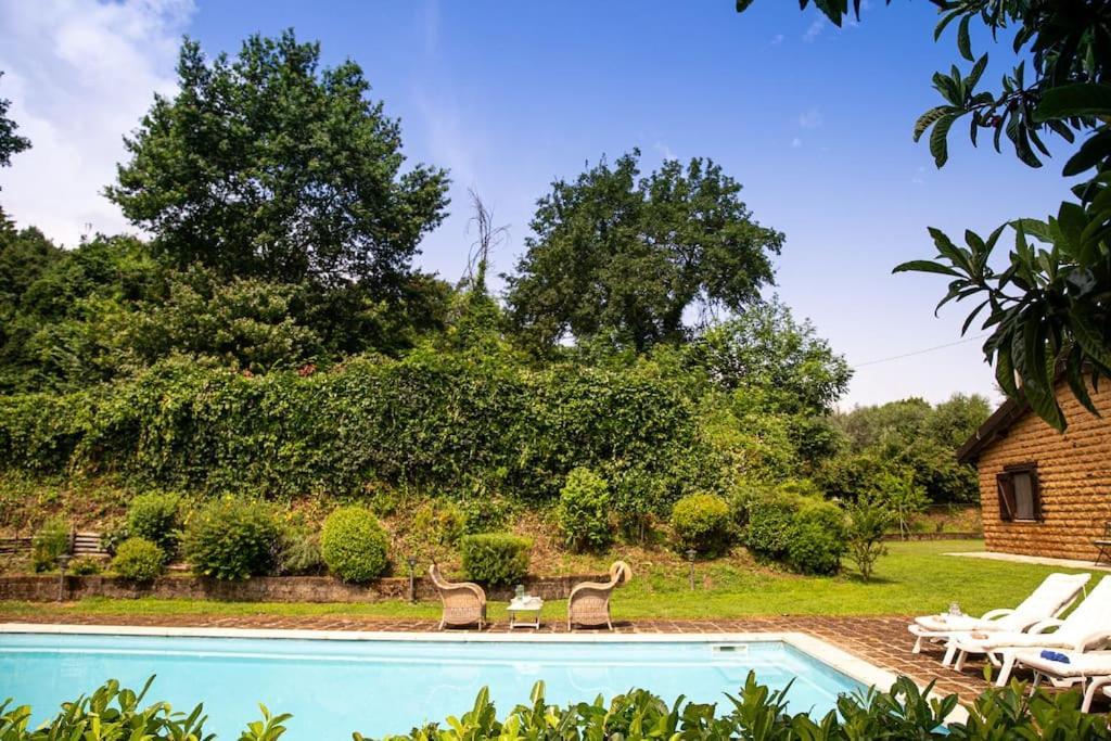 Villa Letizia with pool - 10 min drive to Orvieto town