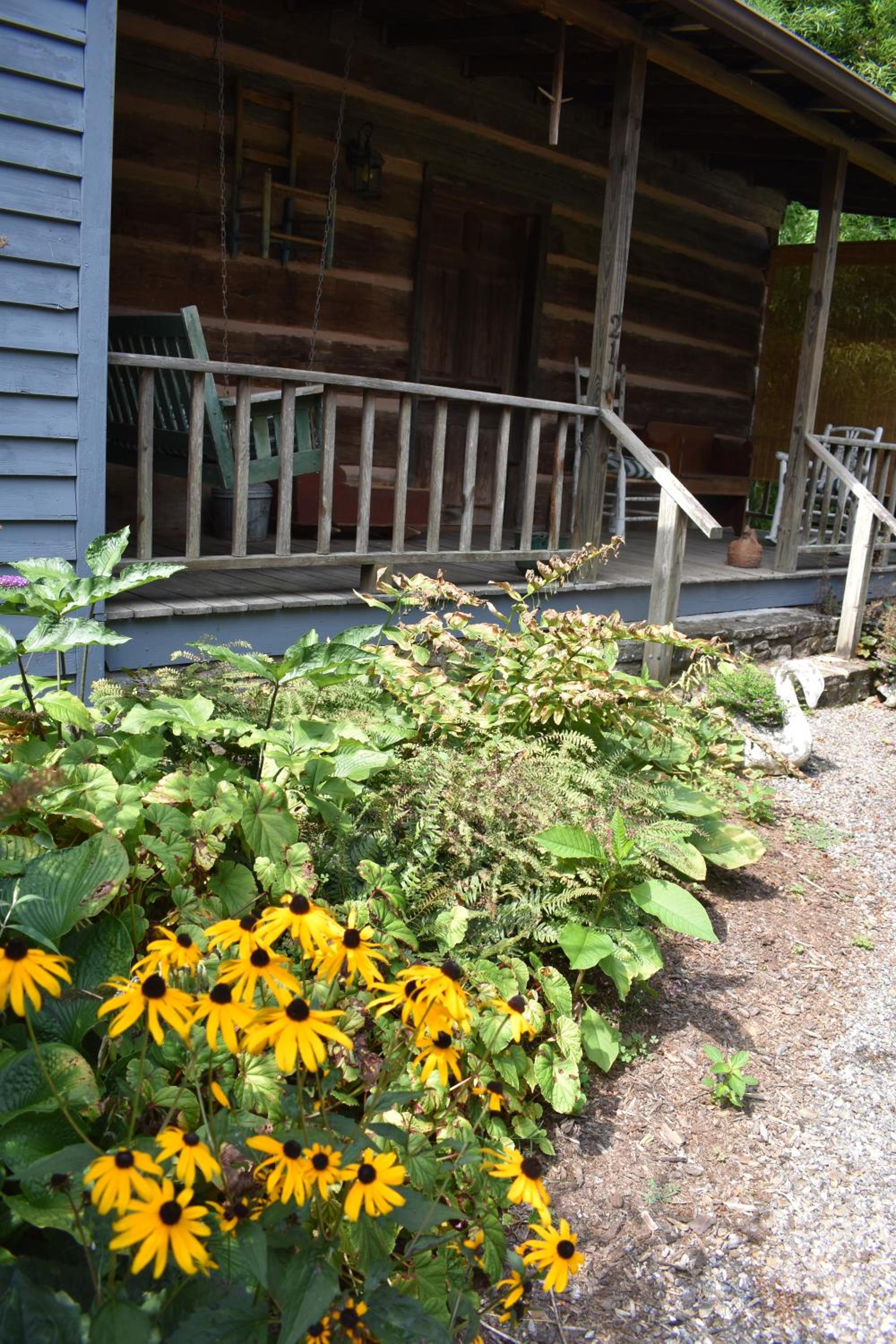 Photo 18