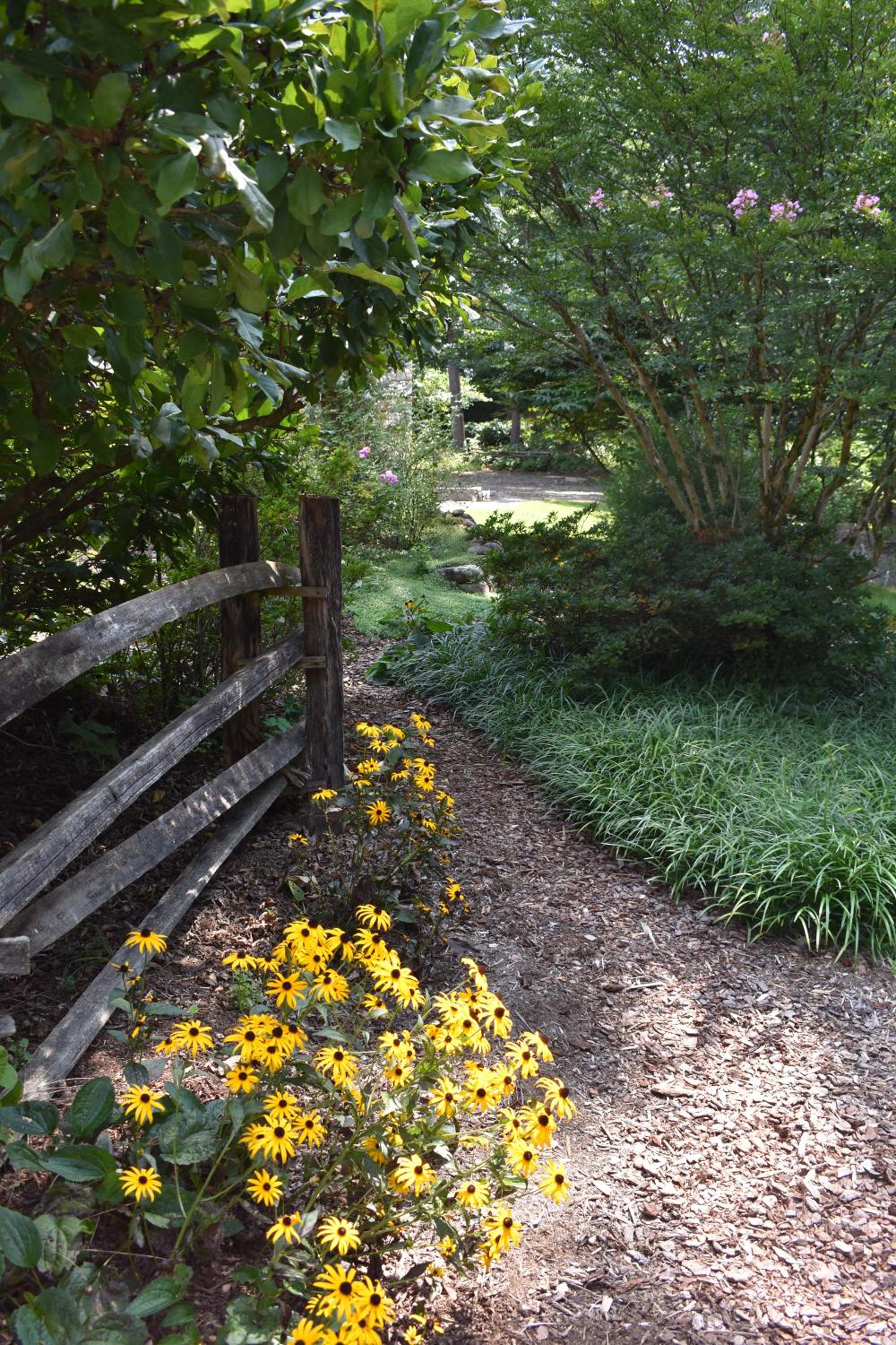 Photo 45