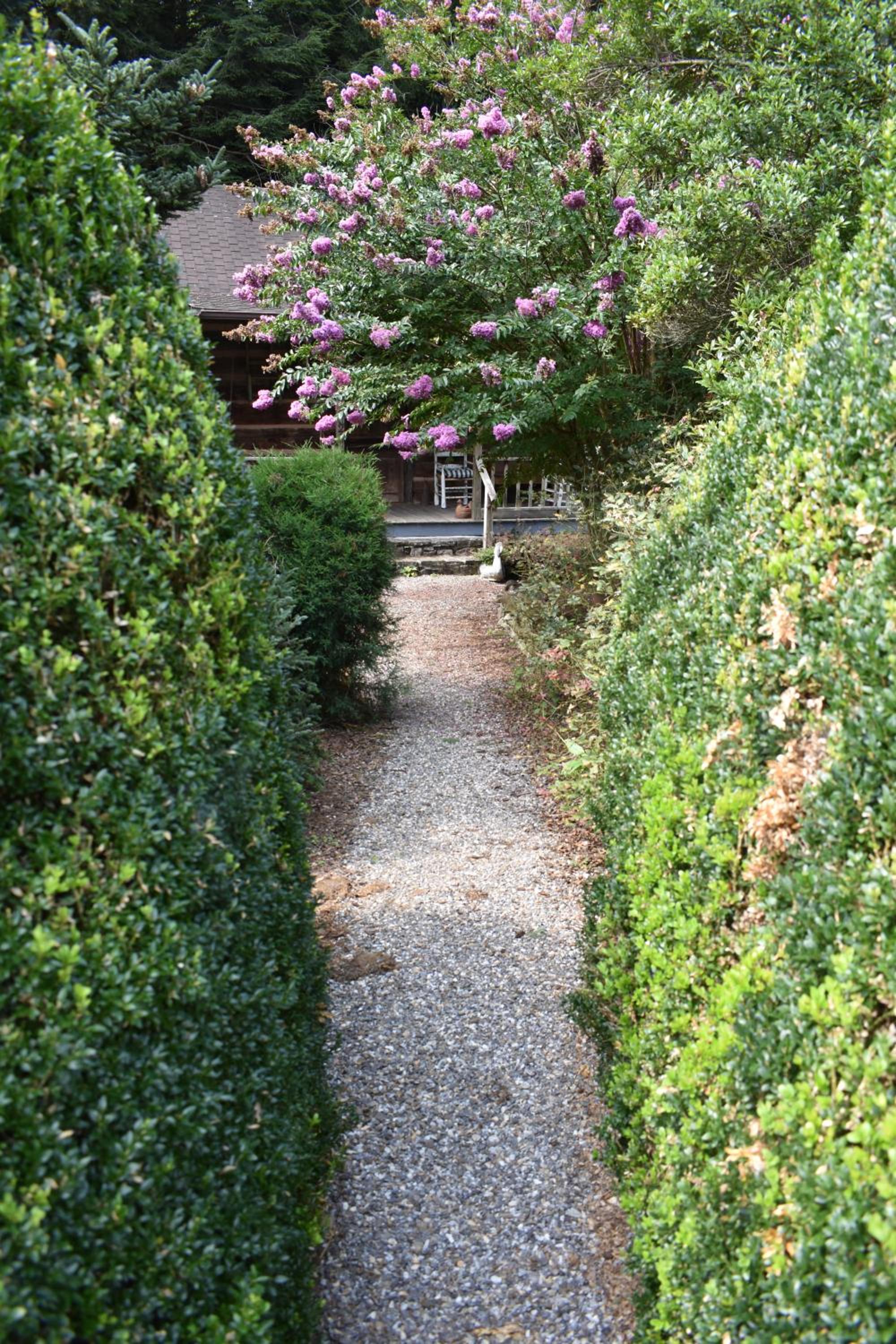 Photo 44
