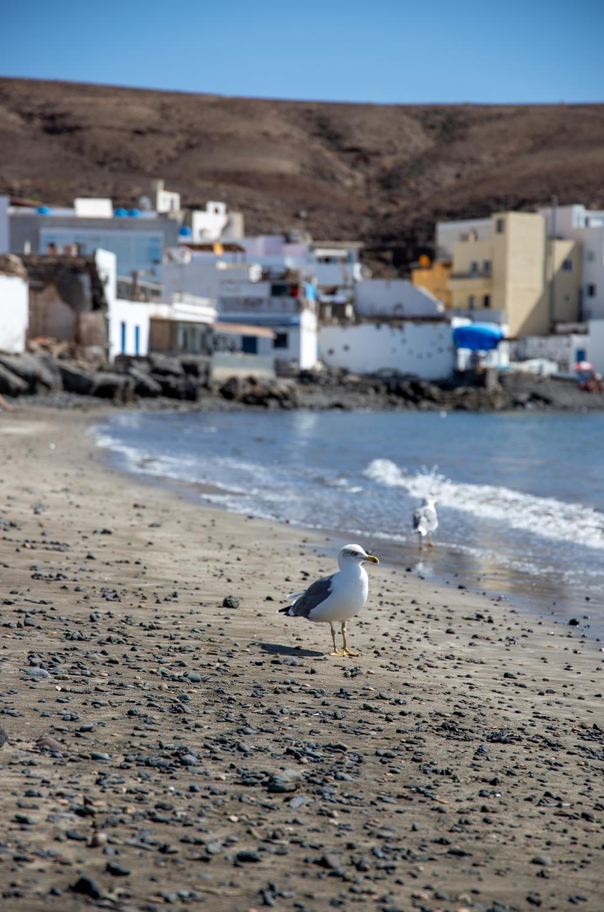 Palm Beach Fuerteventura