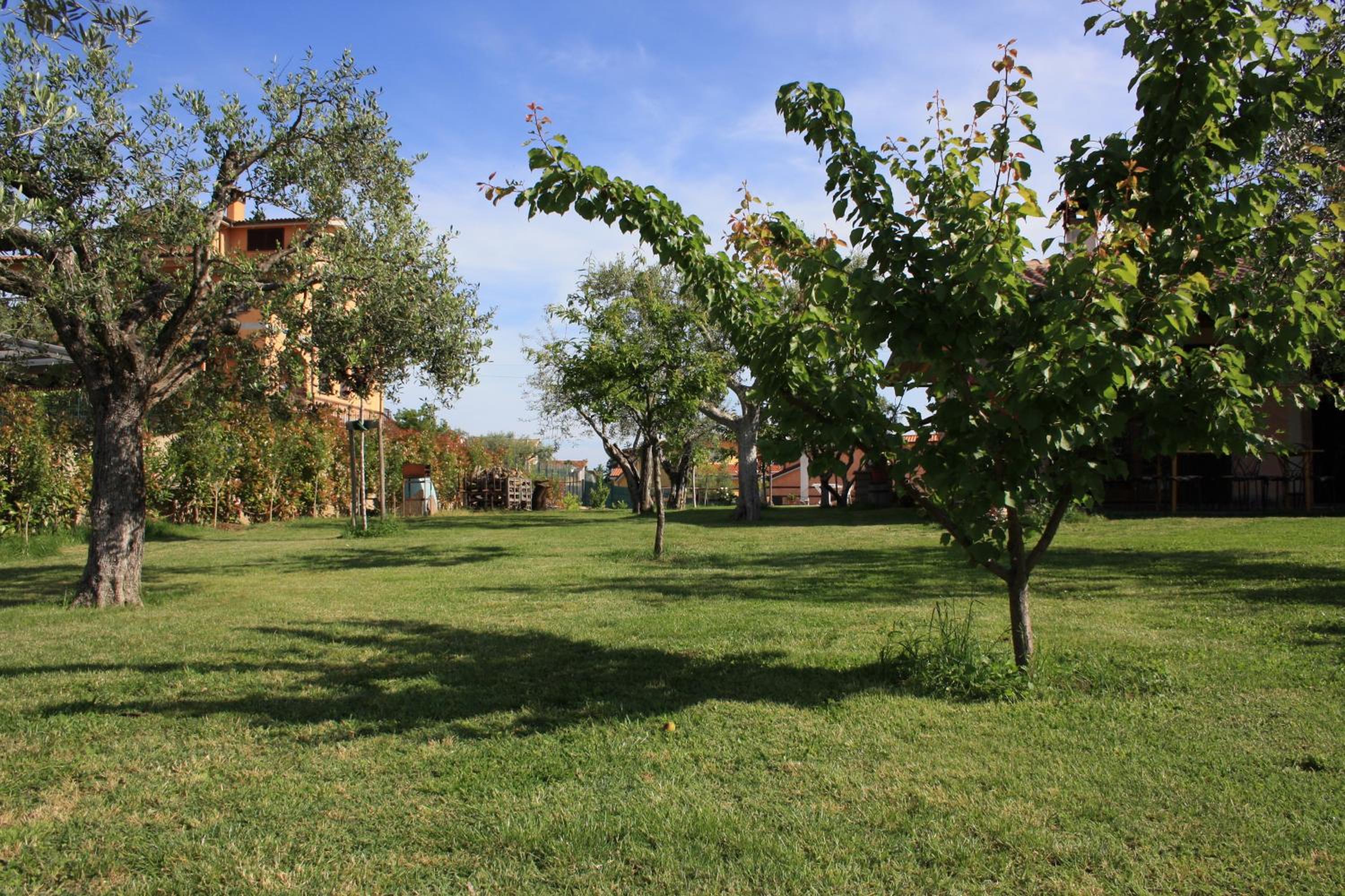 Photo 17