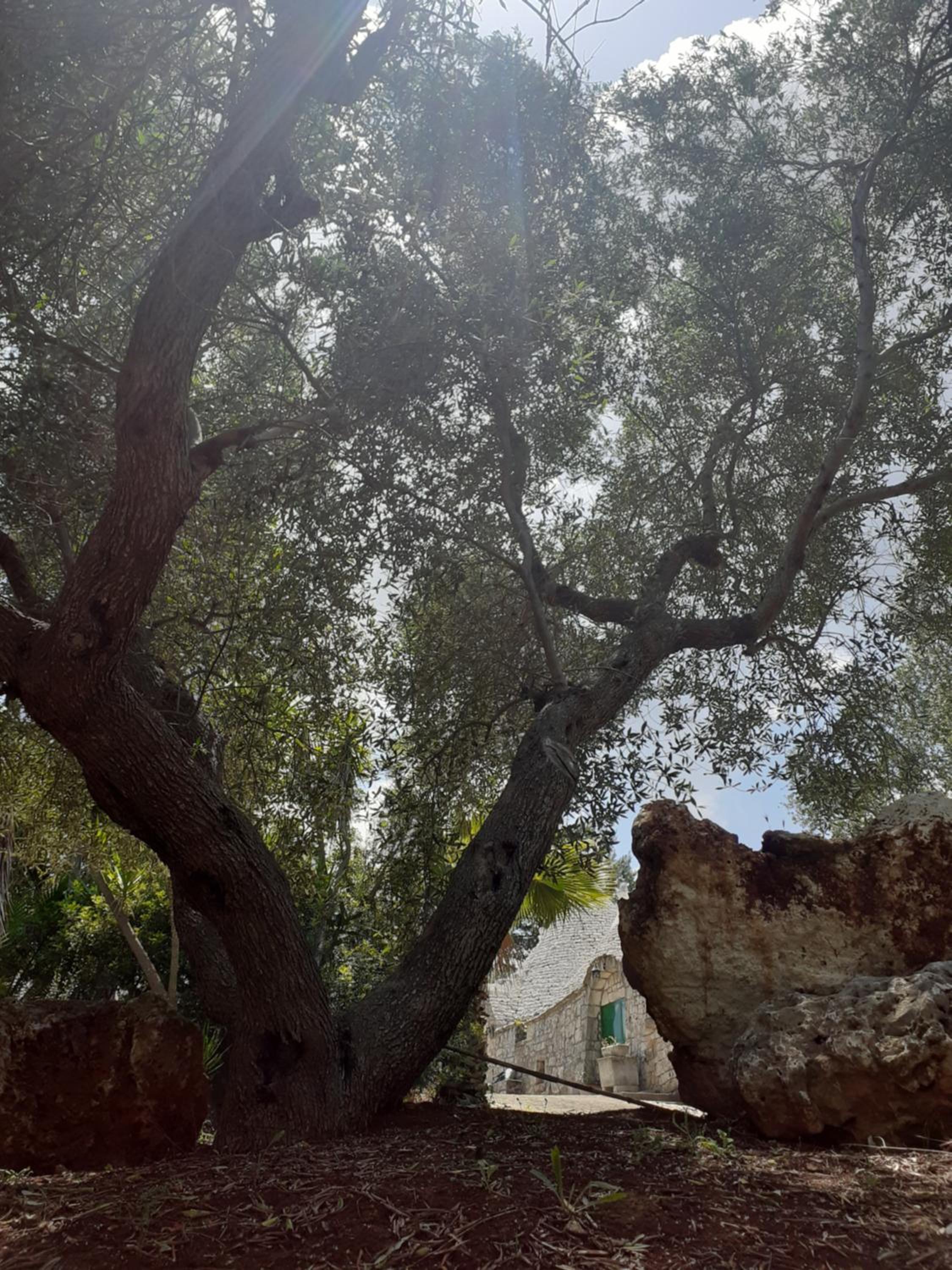 Trullo Oasi di Pace