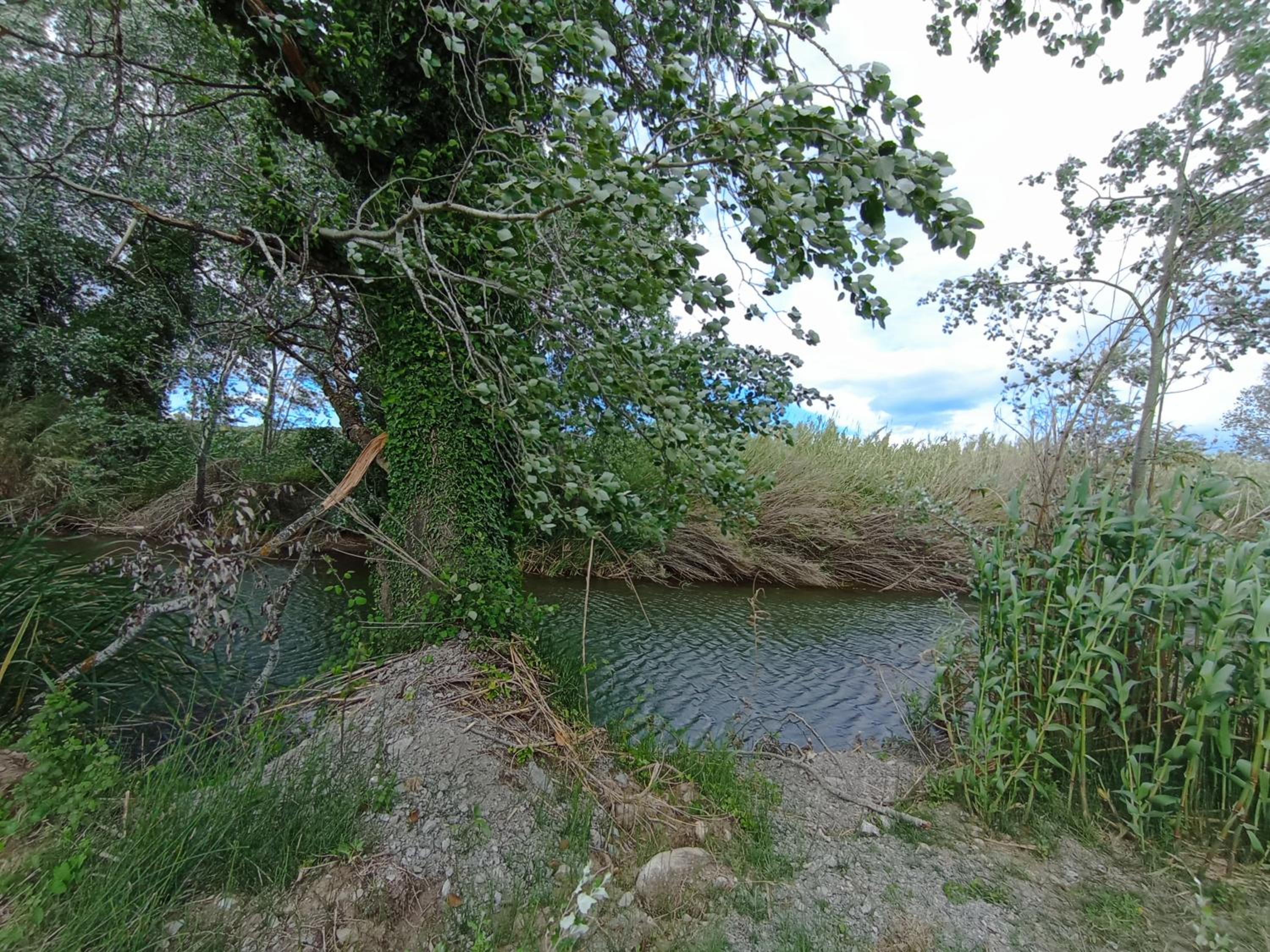 Photo 49