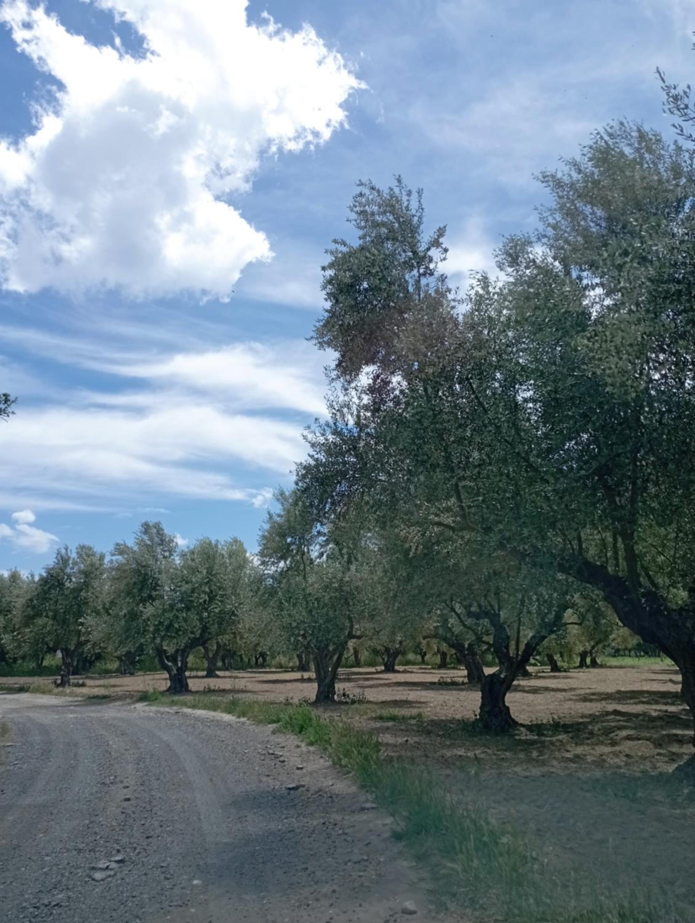 Photo 47