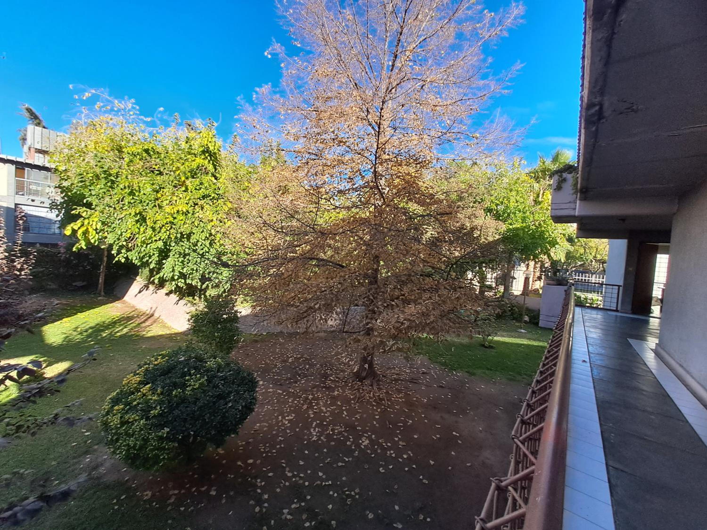 Departamento en la Ciudad de Mendoza Frente al Parque Central con Terraza y Vistas