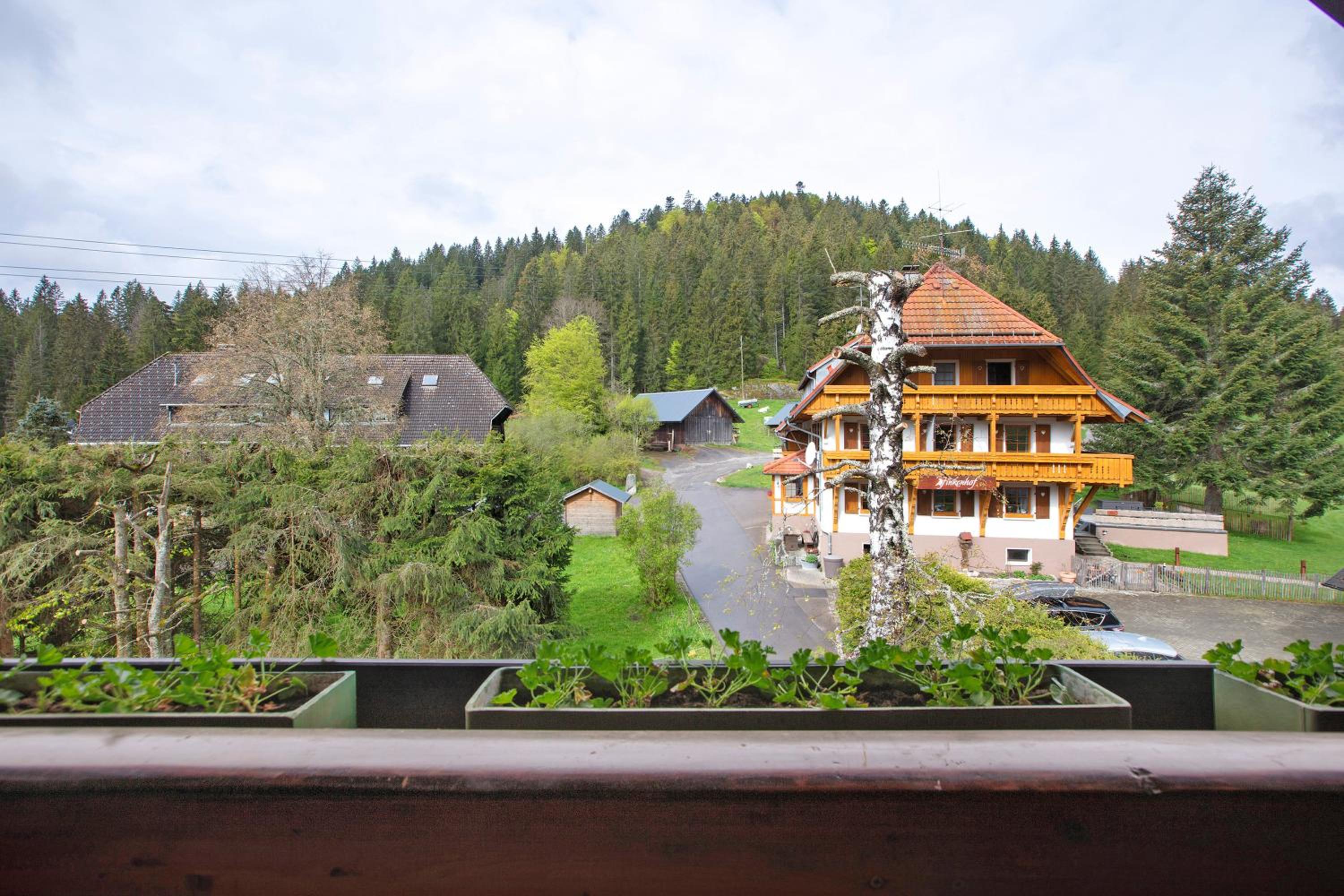 Altes Zollhüsli