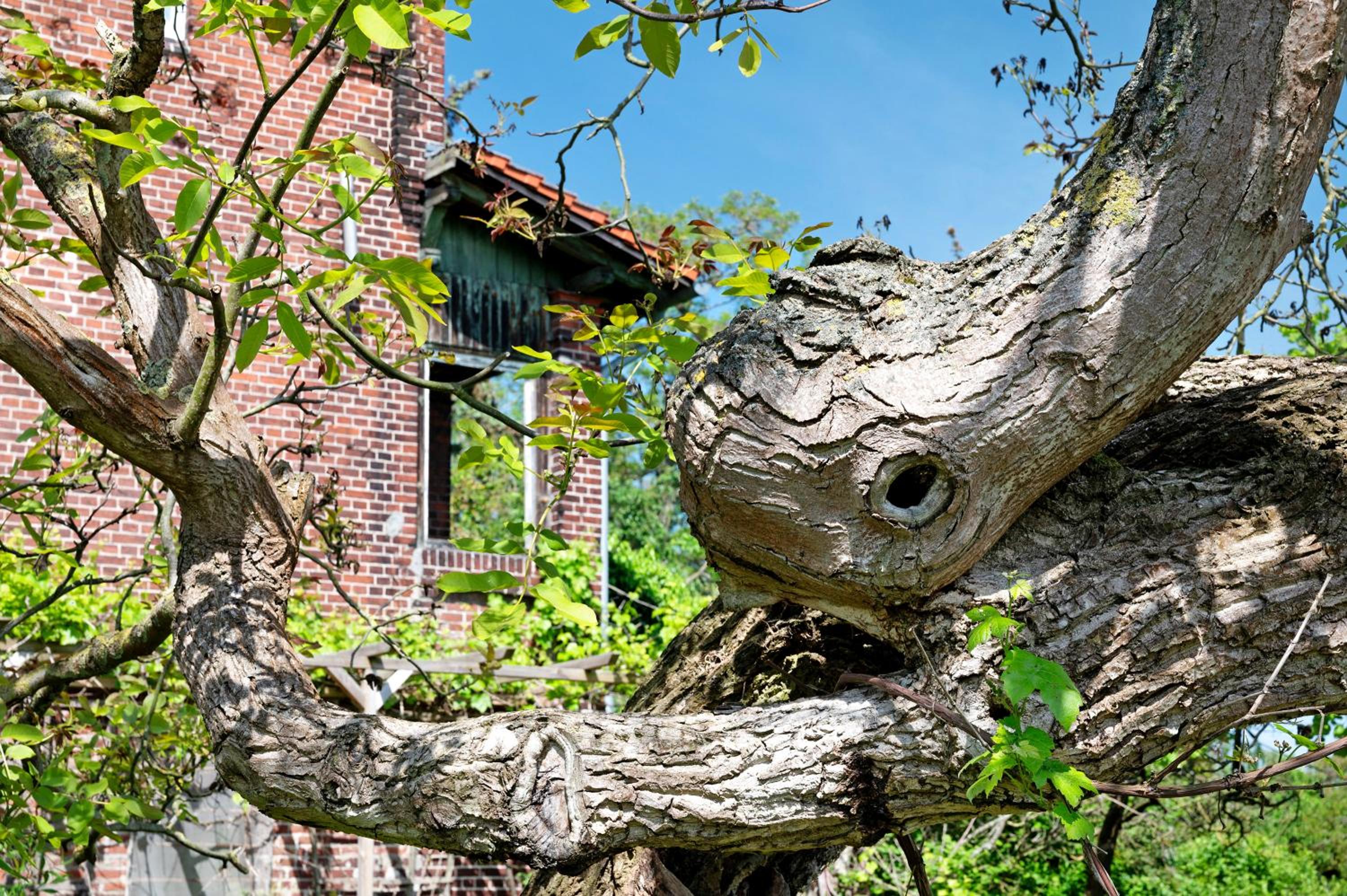 Ferienwohnung Ludwigslust Havelland