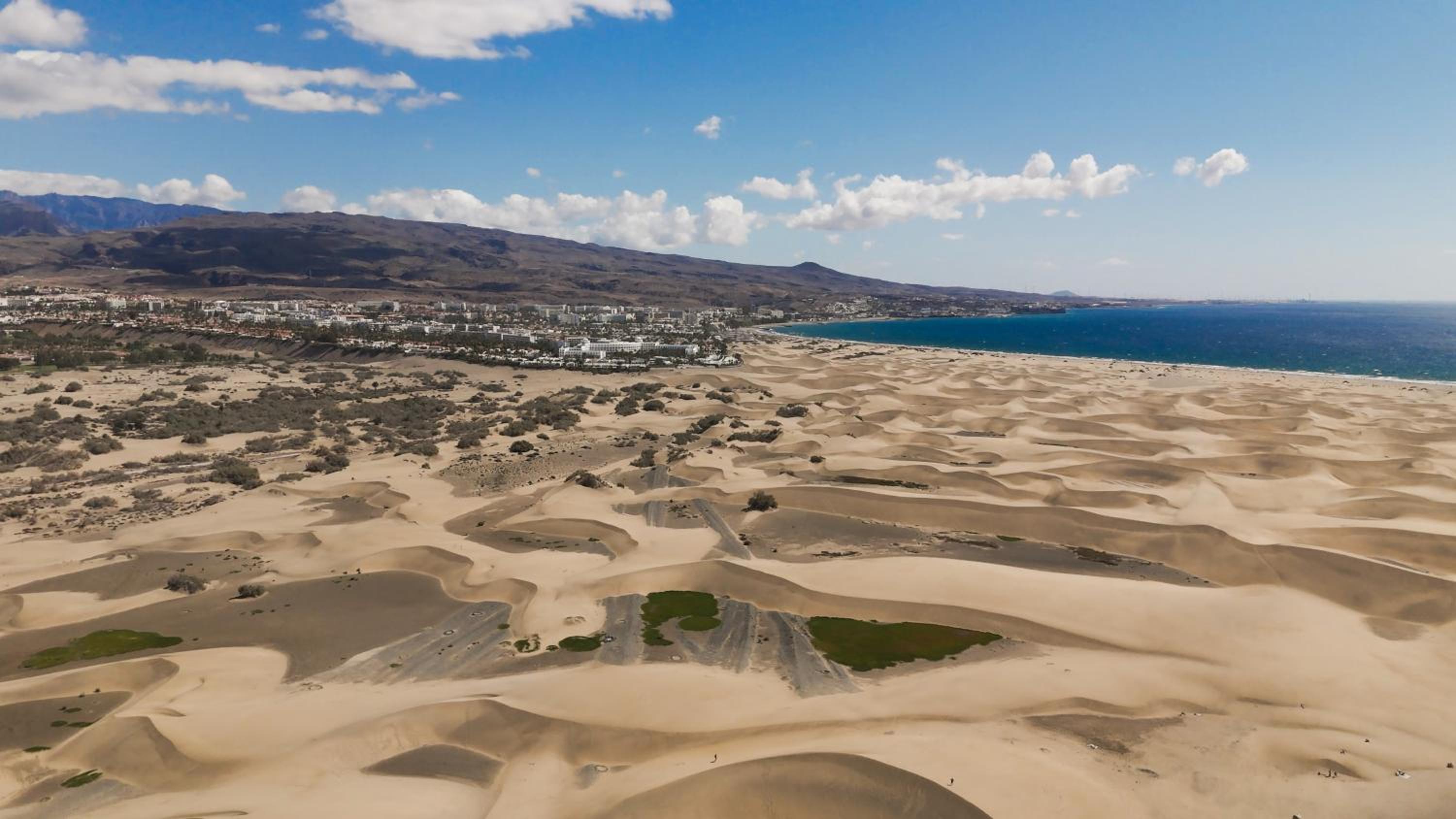 dunes canary deluxe