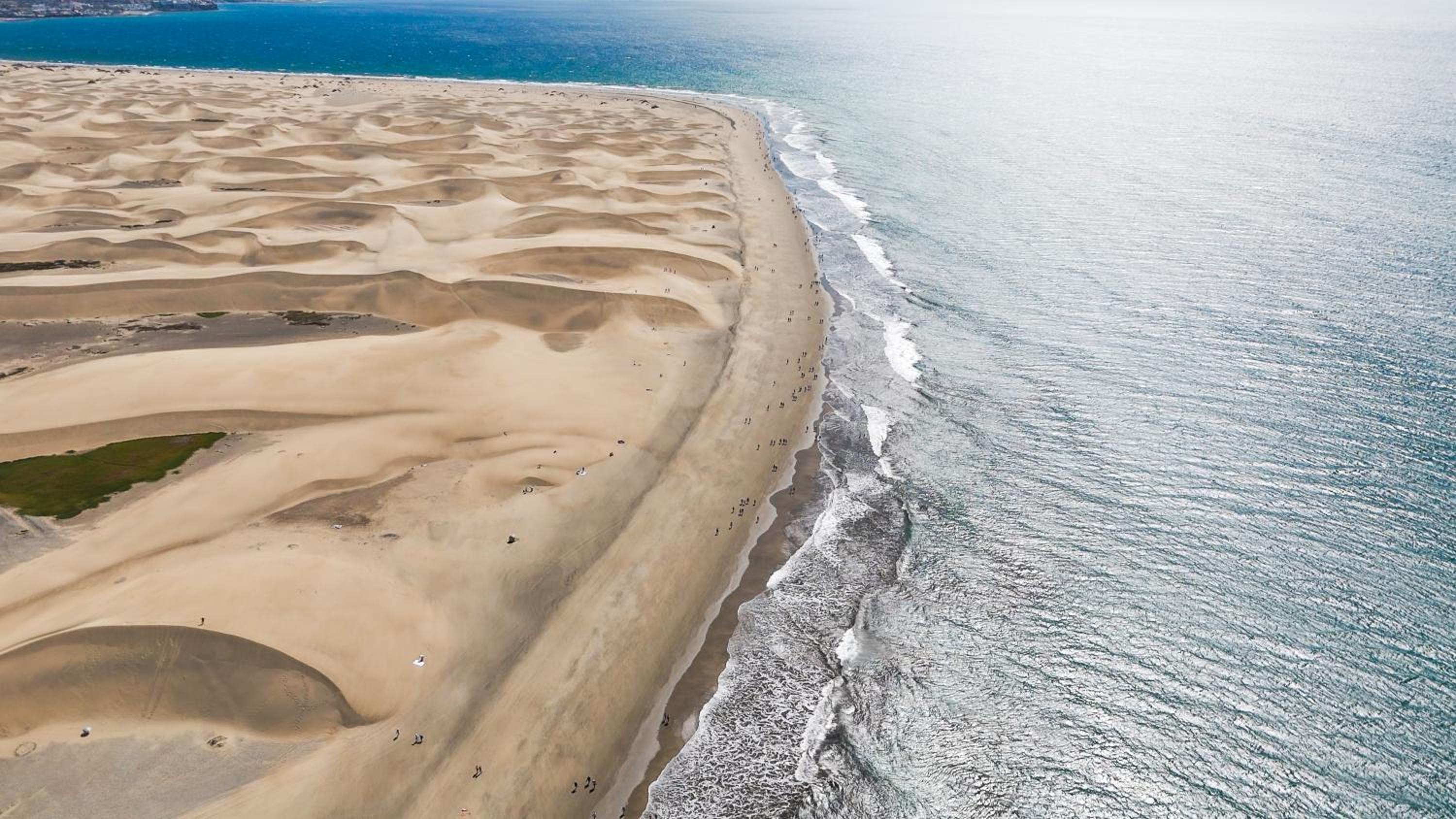 dunes canary deluxe
