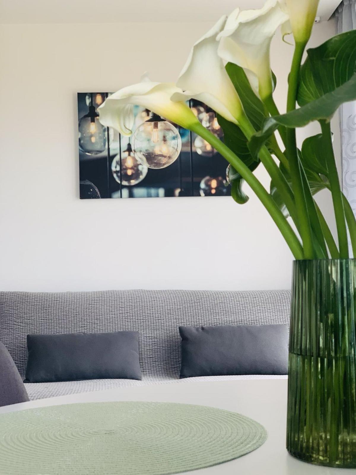 Comfy Vista Apartment