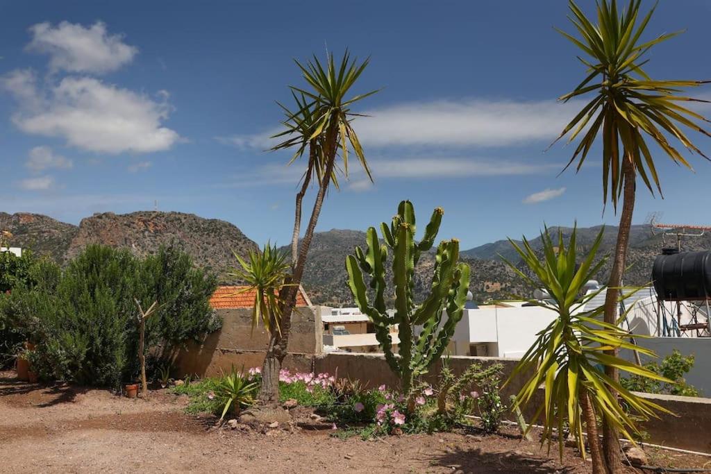 Fortezza studio photo 4