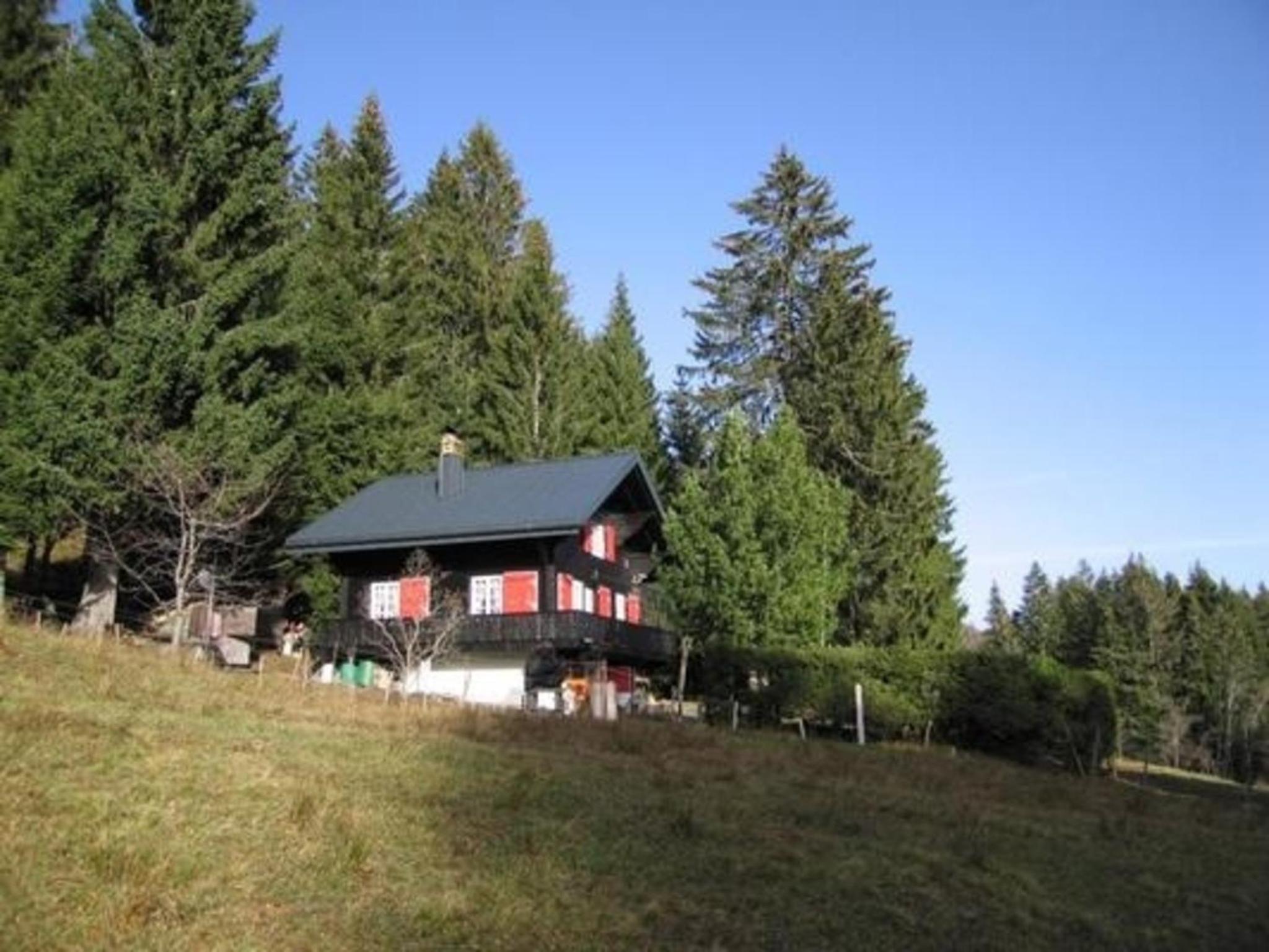 Maiensäss WiFi, Naturnah, Familienfreundlich, direkt im günstigen Familien-Skigebiet