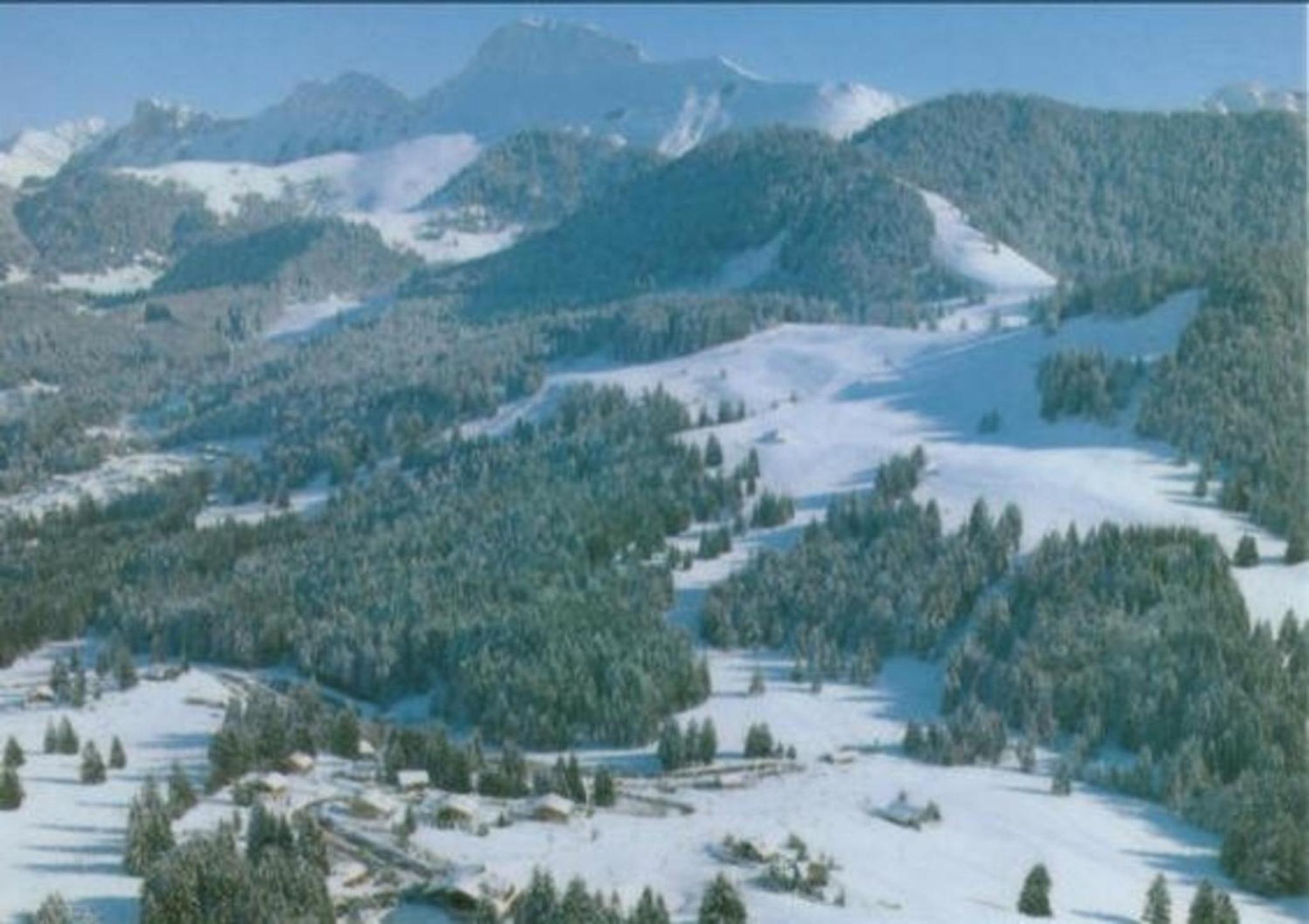 Maiensäss WiFi, Naturnah, Familienfreundlich, direkt im günstigen Familien-Skigebiet