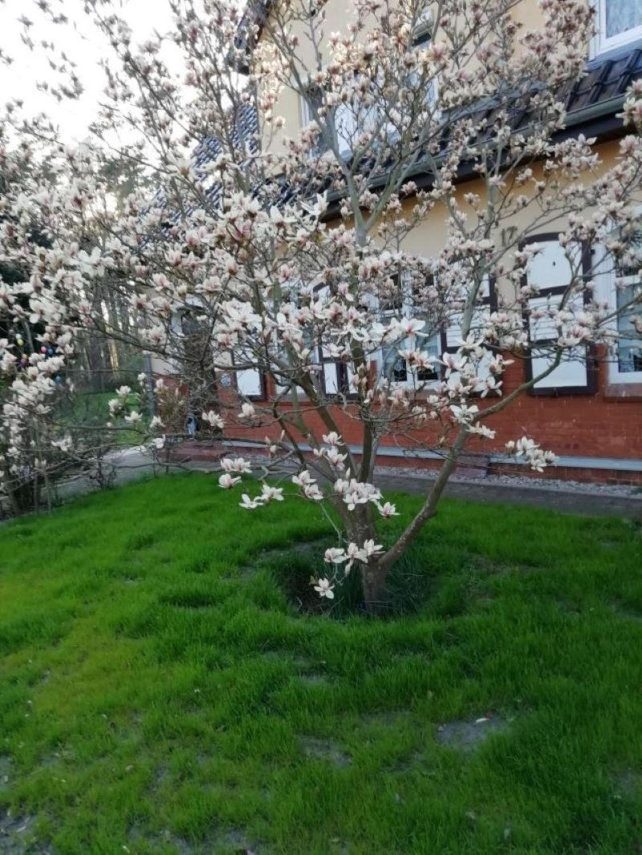 Geräumiges und liebevoll eingerichtetes Ferienhaus für bis zu zehn Personen mit Terrasse und Grill im Garten