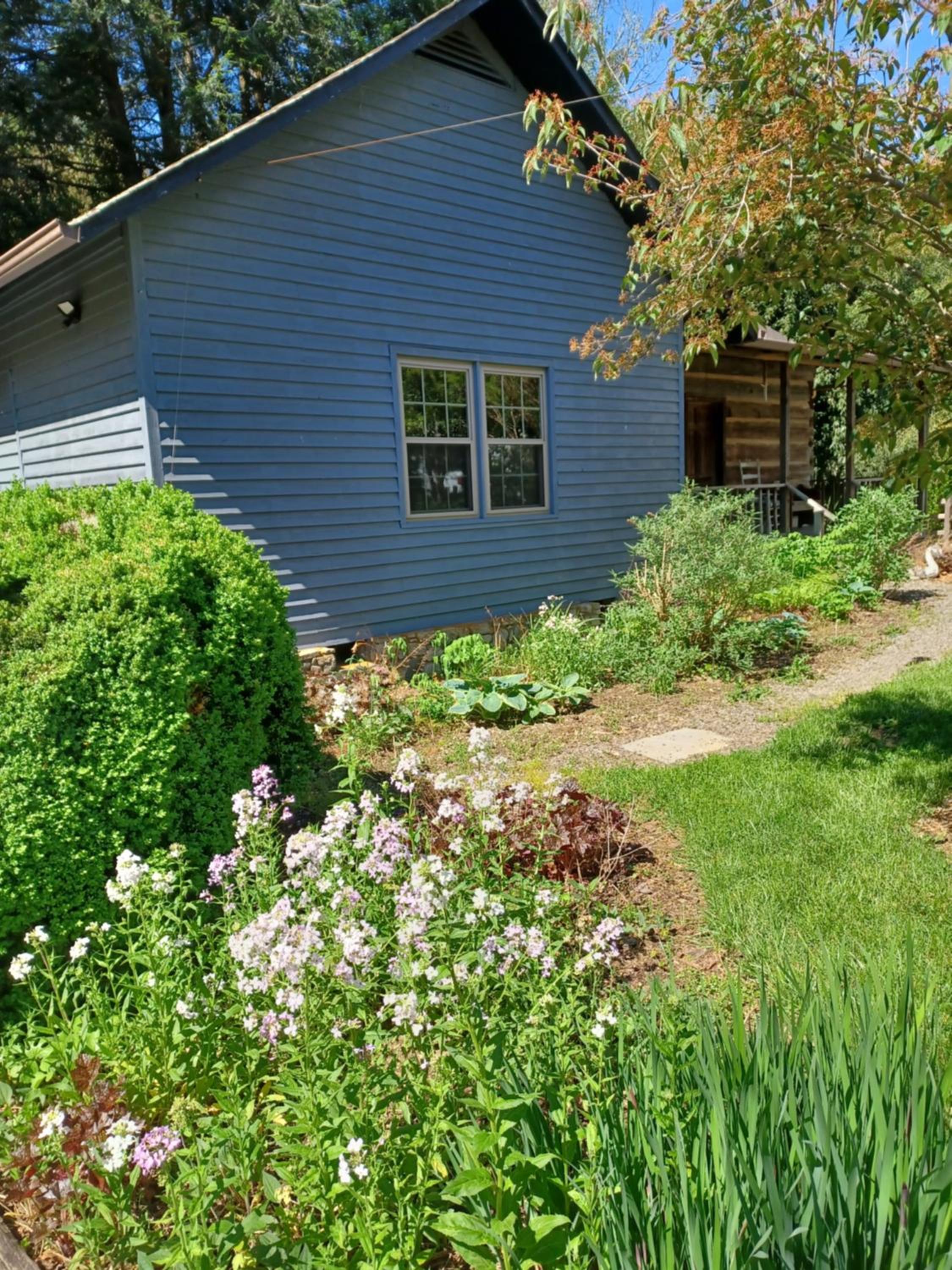 Photo 23