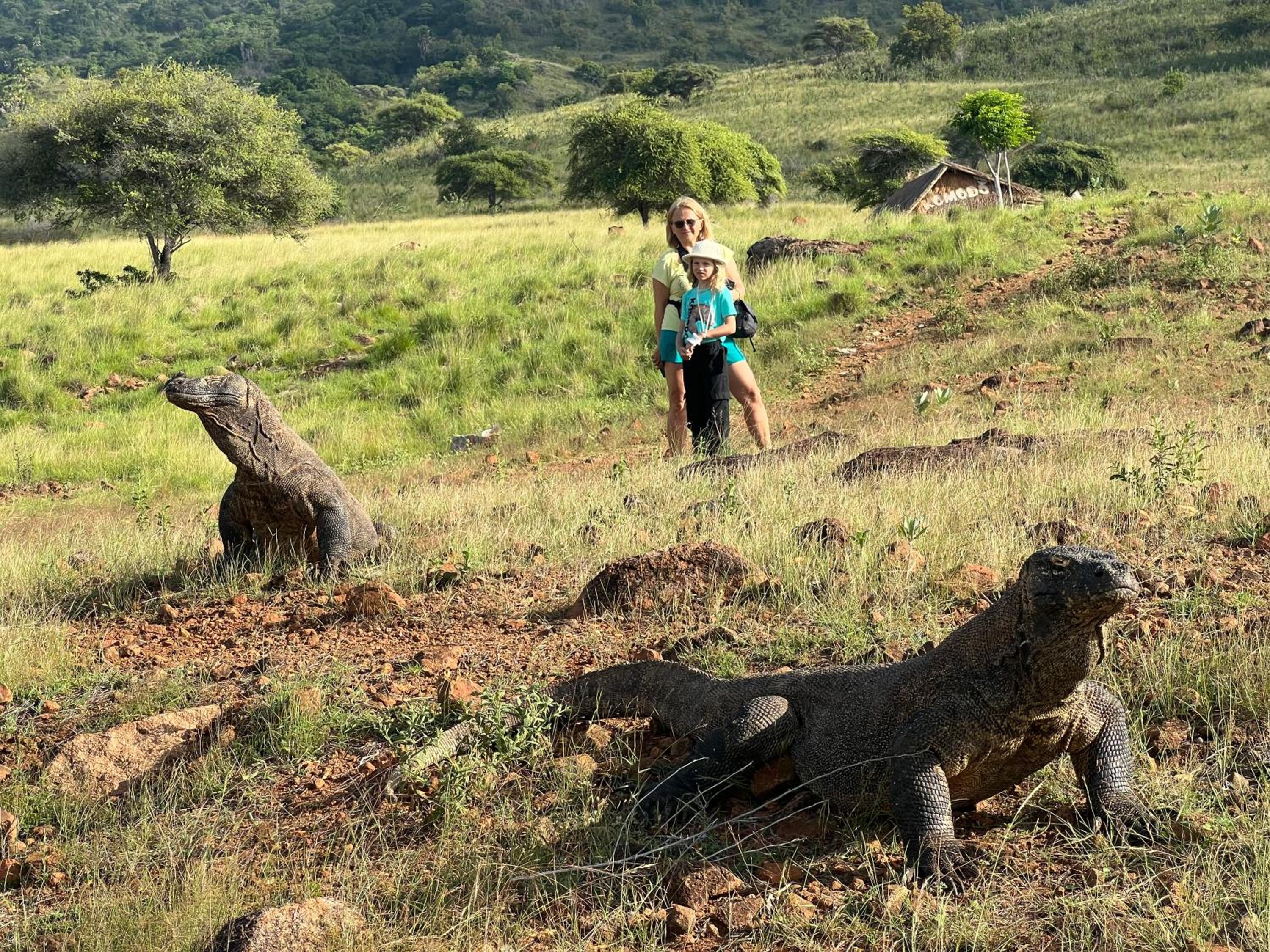 Jhuna Komodo Homestay