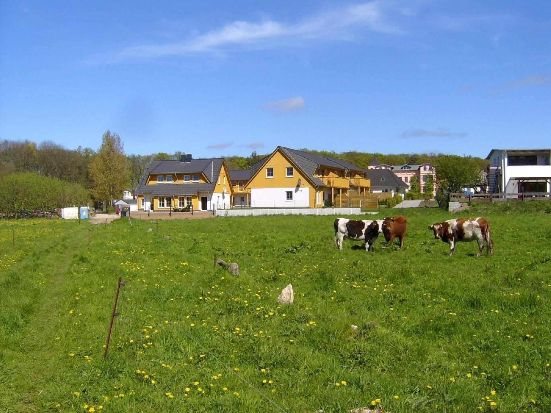 Tolle Wohnung in Koserow mit Garten, Terrasse und Grill