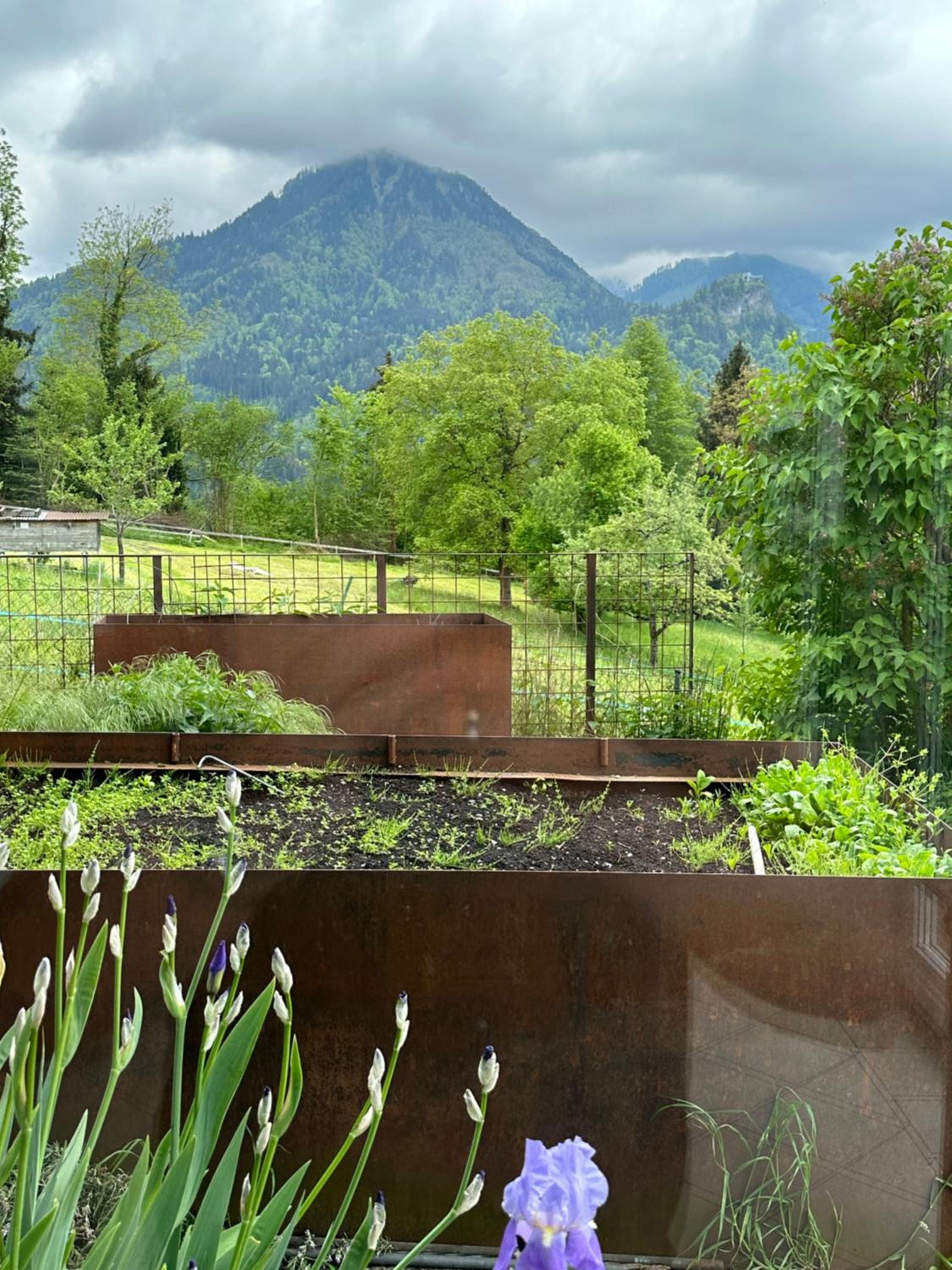 Kraft tanken in grüner Oase mit großem Wohnraum und riesigem Garten