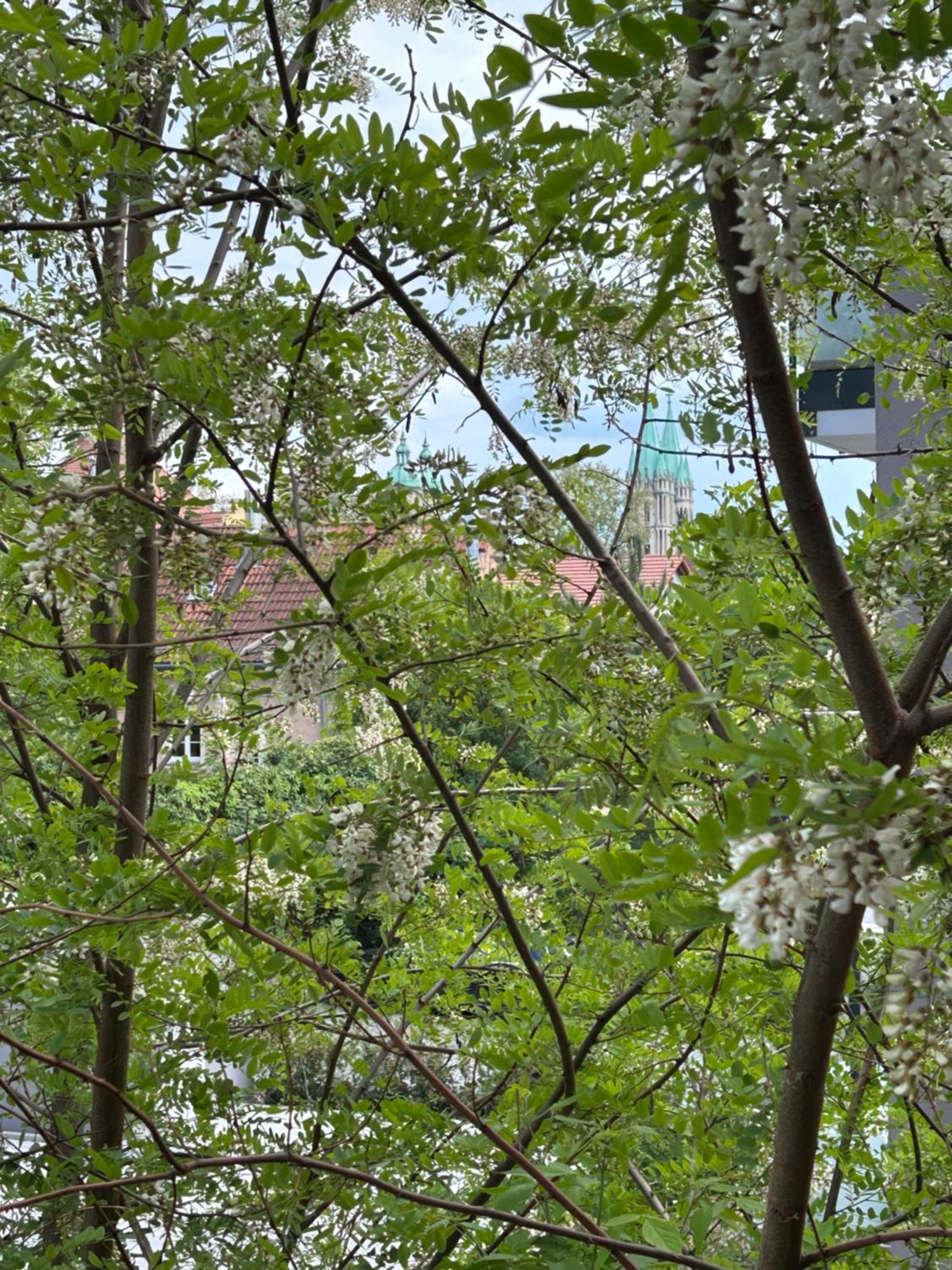 Schöne 3 Zimmer Wohnung mit großem Balkon bis 7 Personen