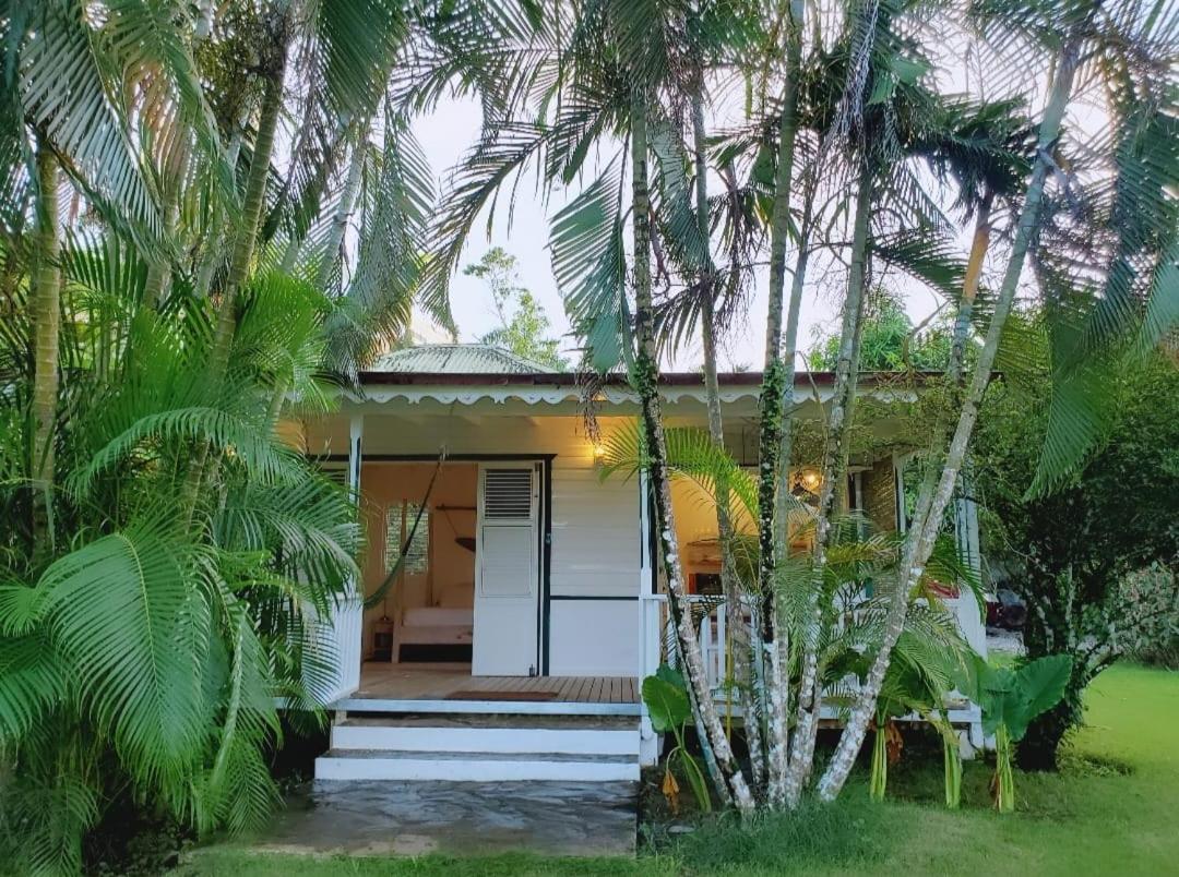Casa Nito