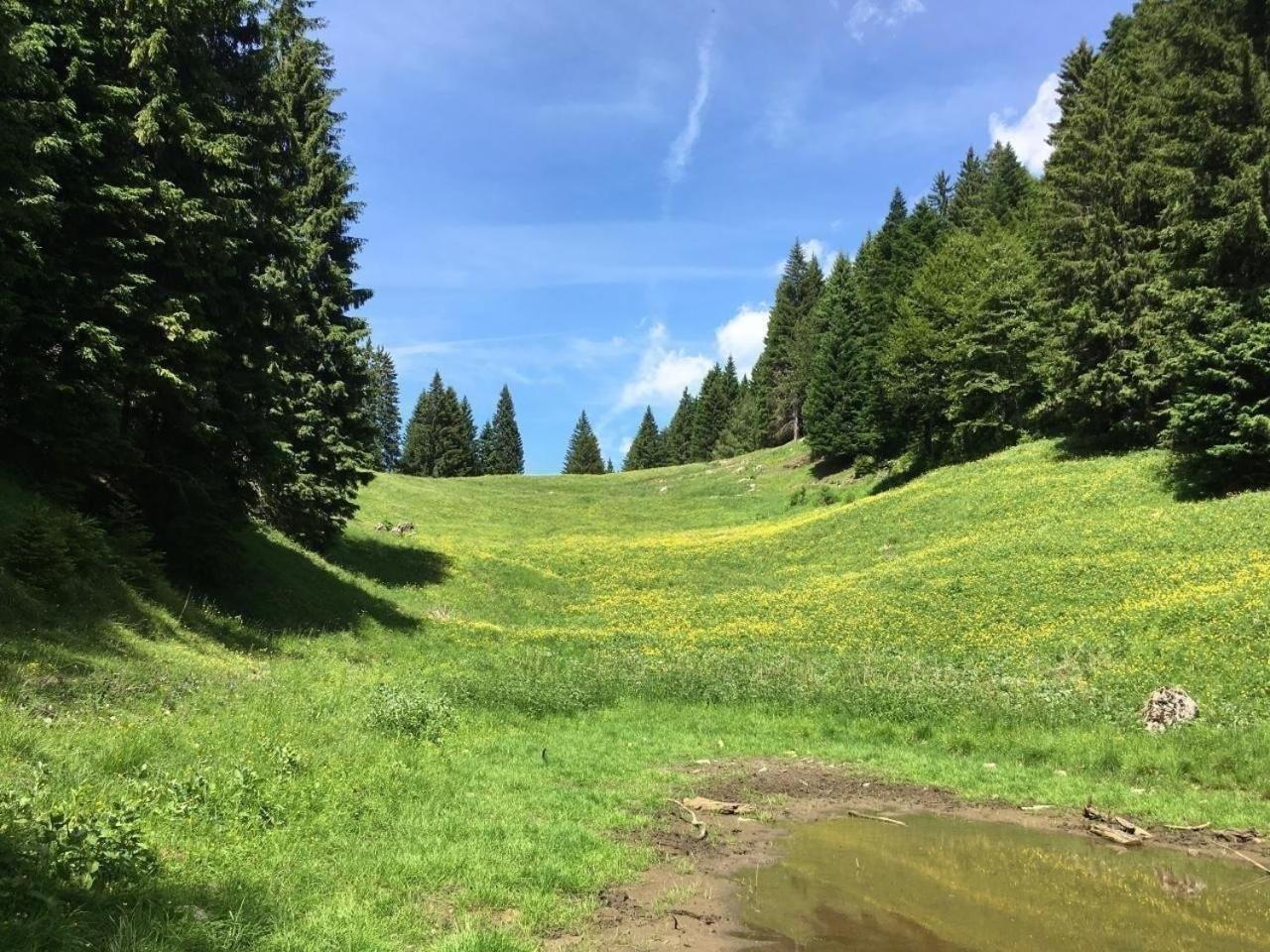 Ferienhaus mit Sauna in Pieve Di Bono view 3