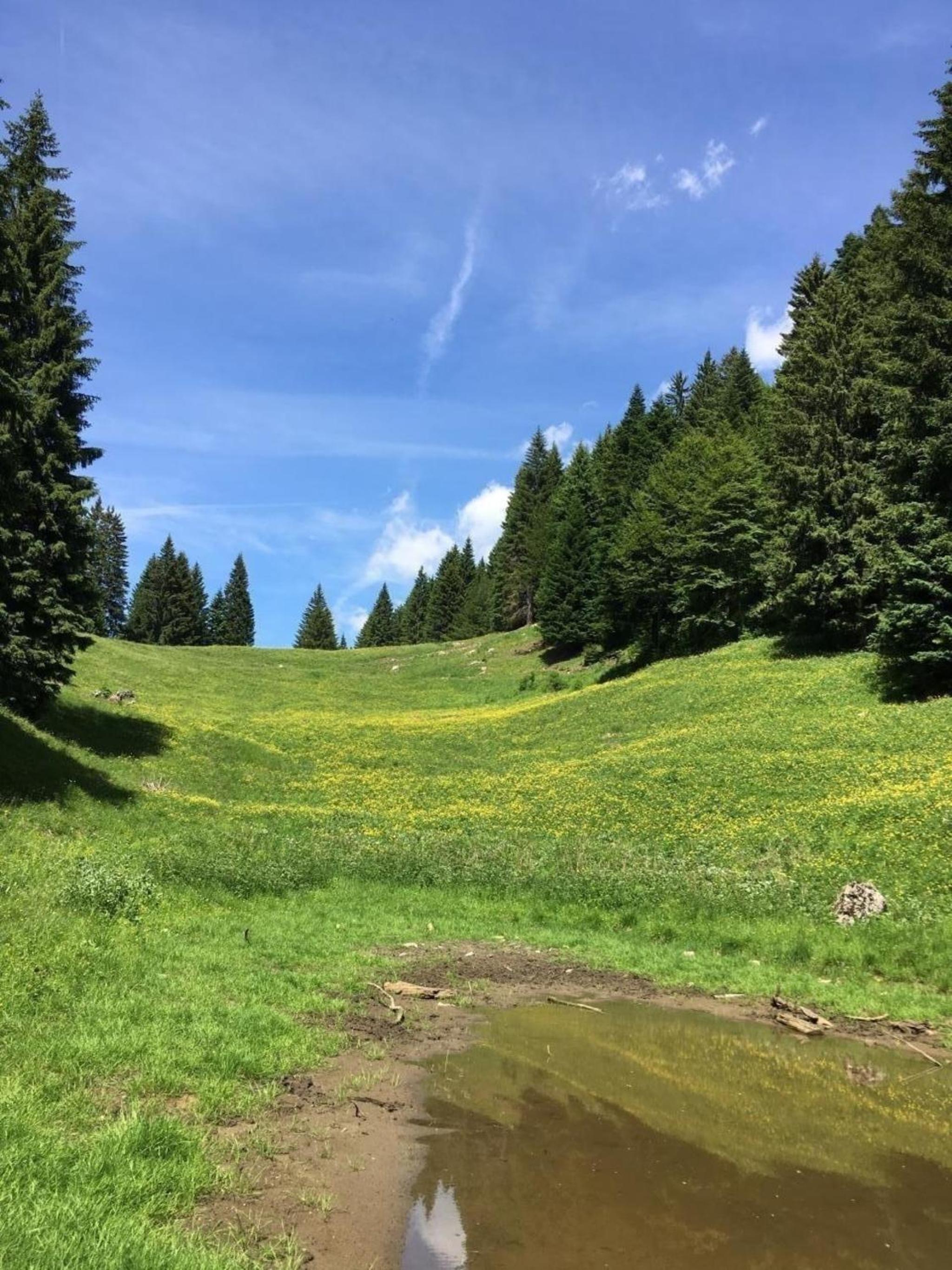 Ferienhaus mit Sauna in Pieve Di Bono view 2