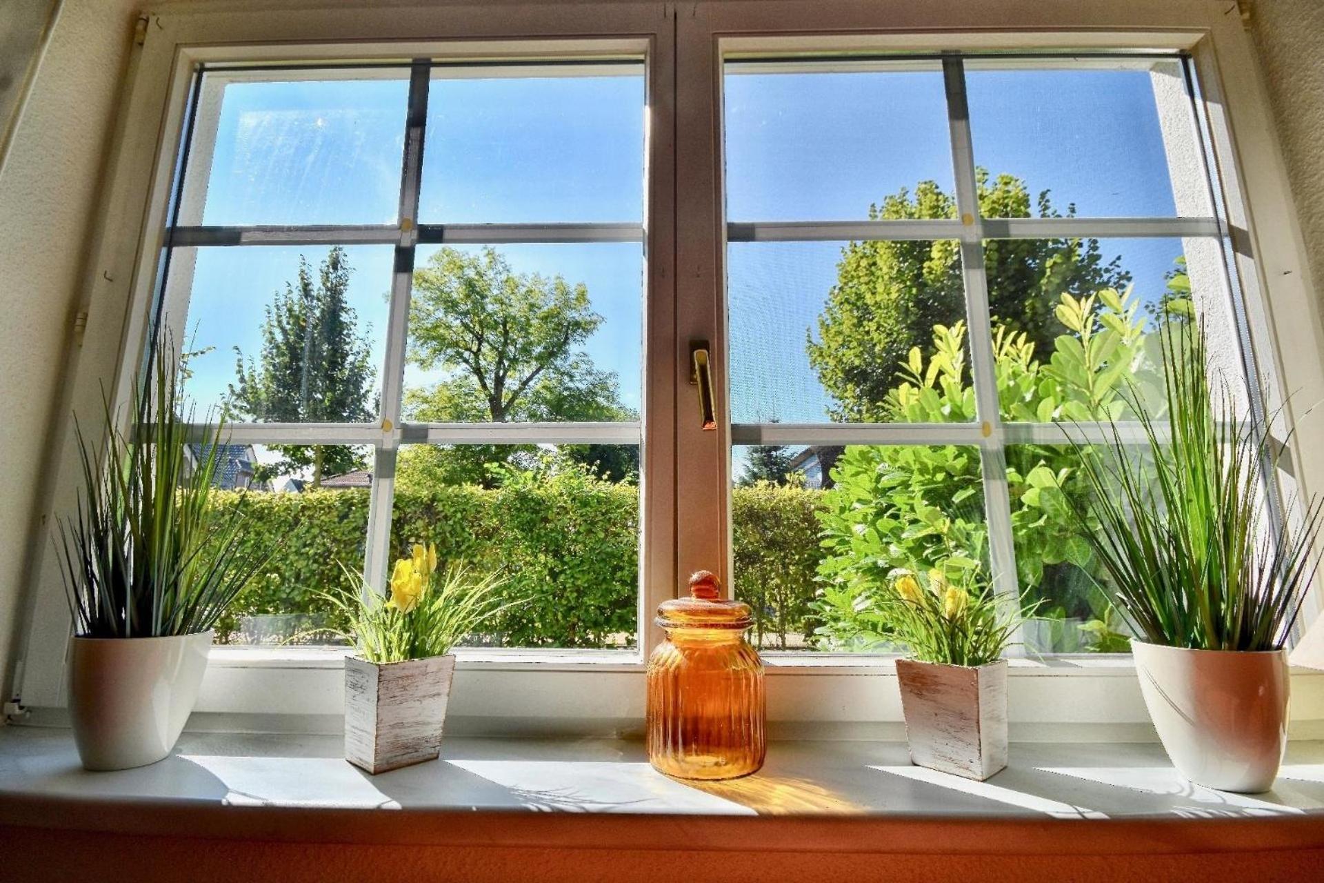 Familiäres, charmantes Appartement in Zingst