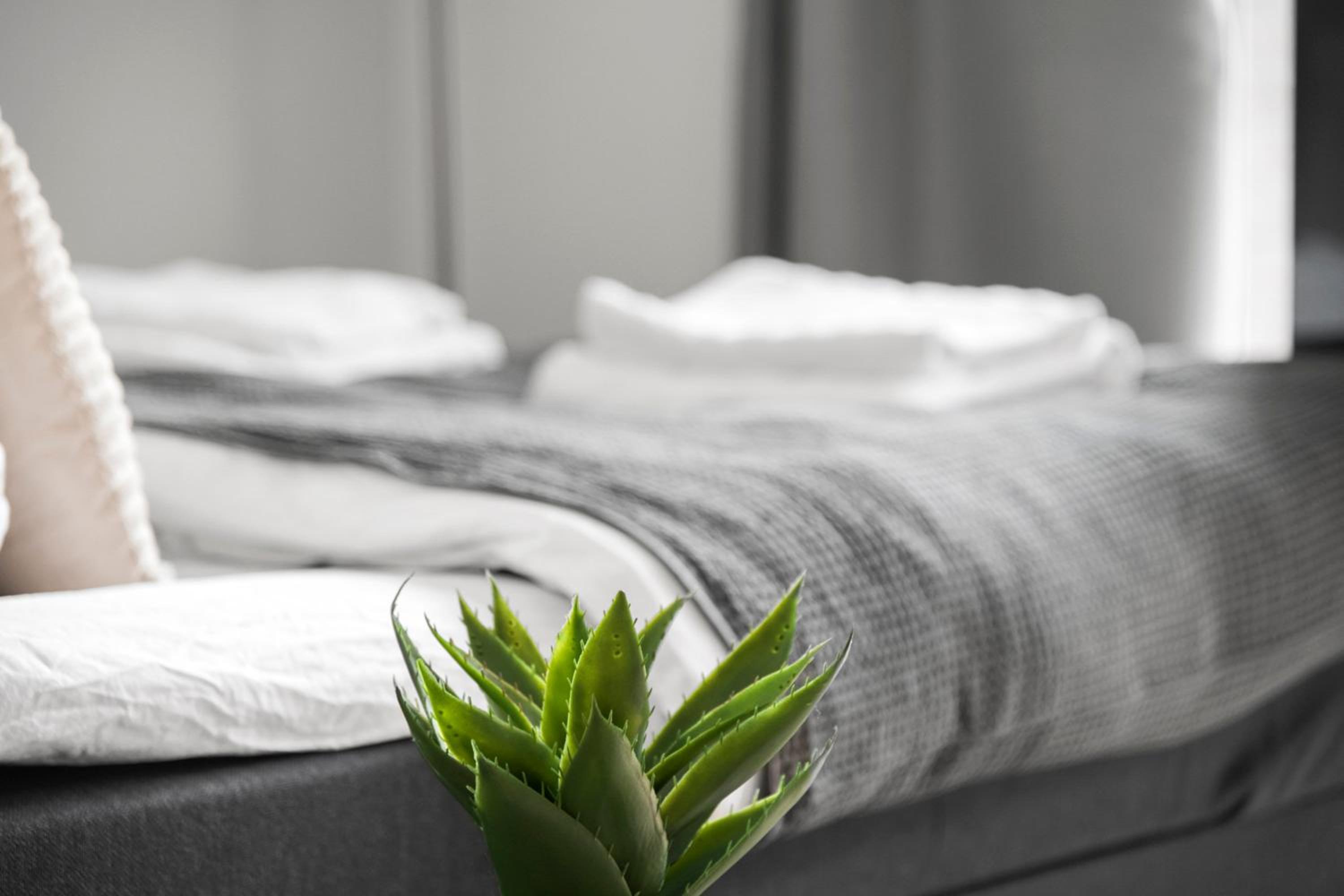 Peaceful studio apartment