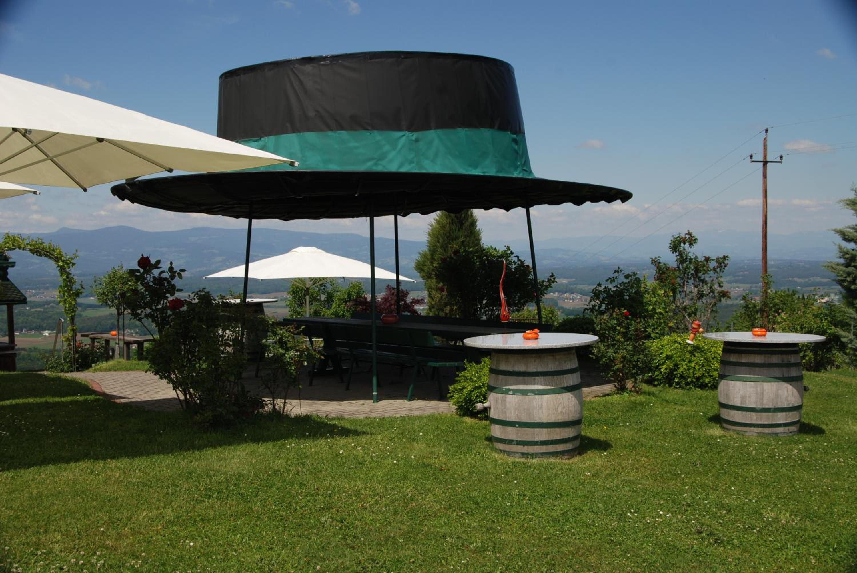 Weinberg-Panoramaferienhaus