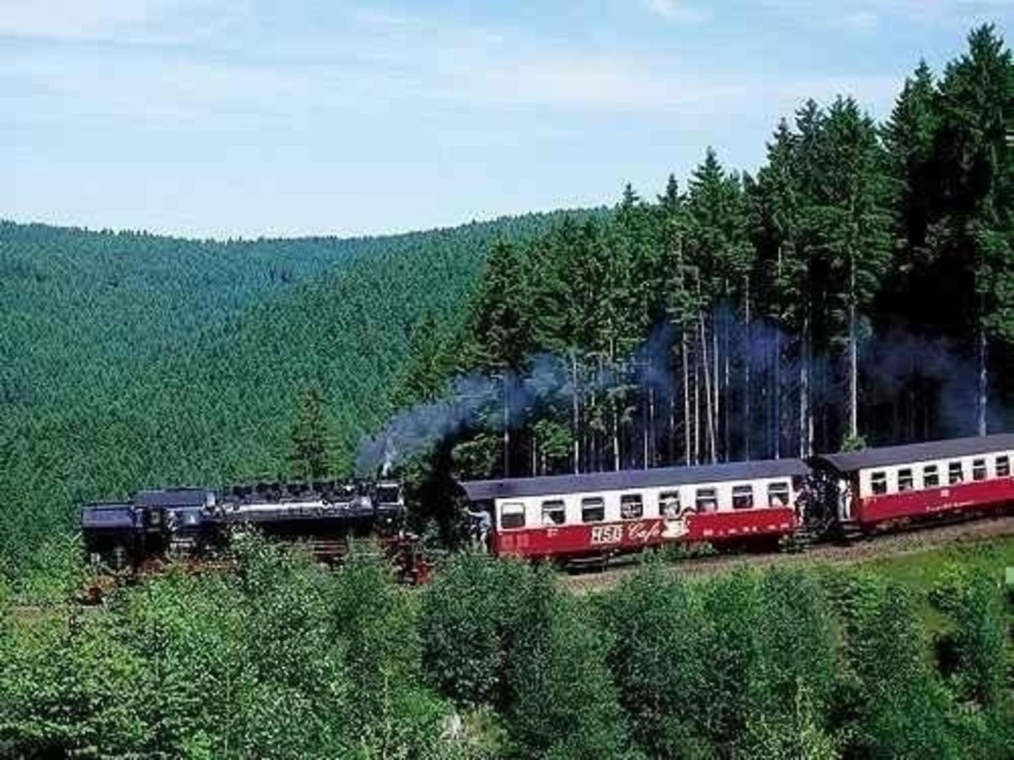 Urlaub zwischen Harz und Seeland - gemütliche Ferienwohnung für die ganze Familie