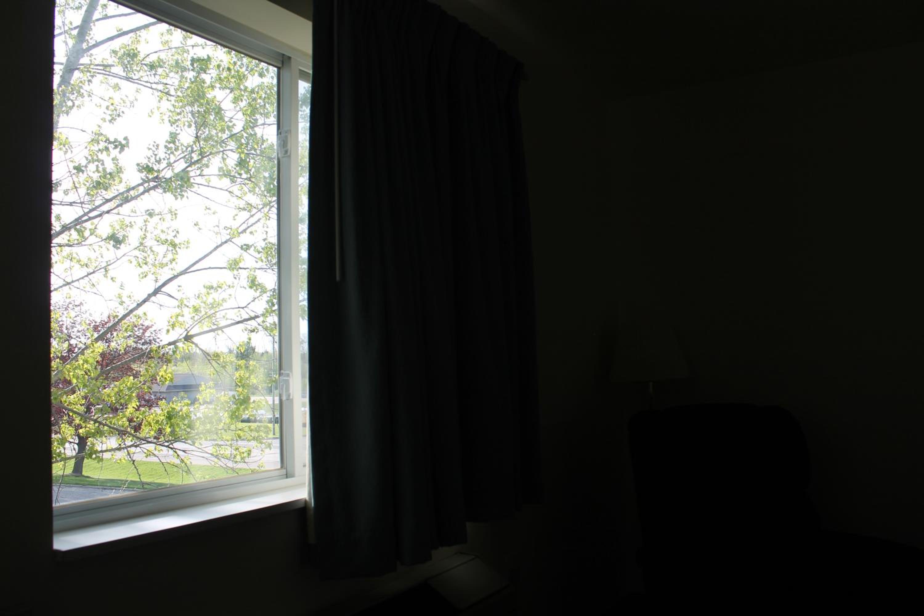 Photo 32