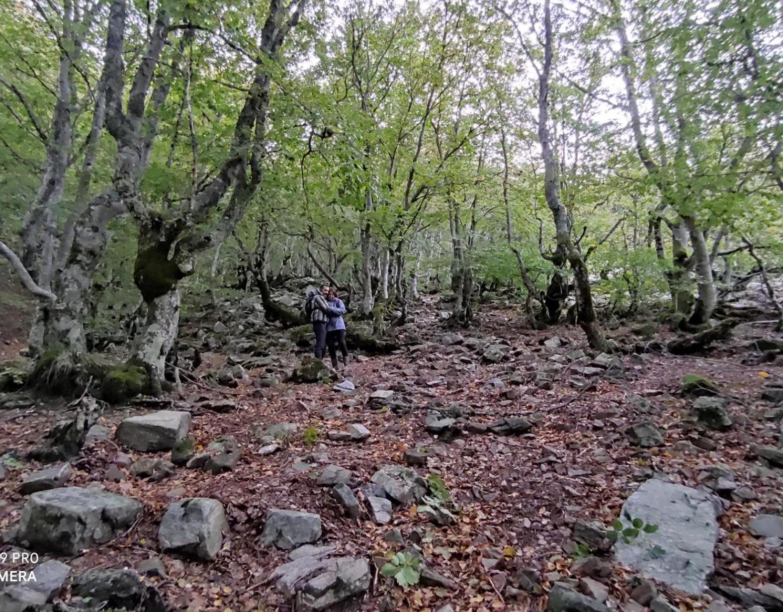 La Casa de Dafne Acebo