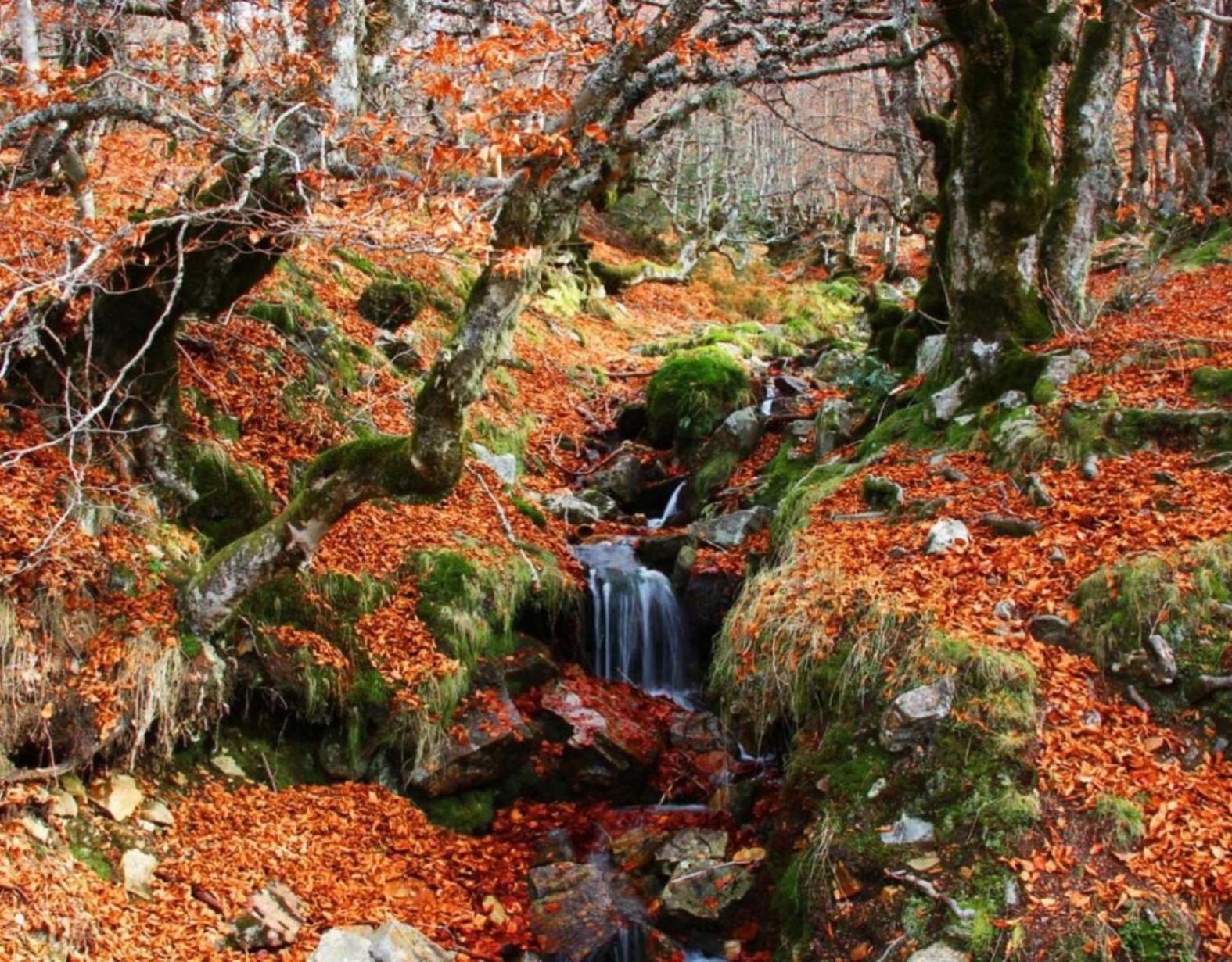 La Casa de Dafne Acebo