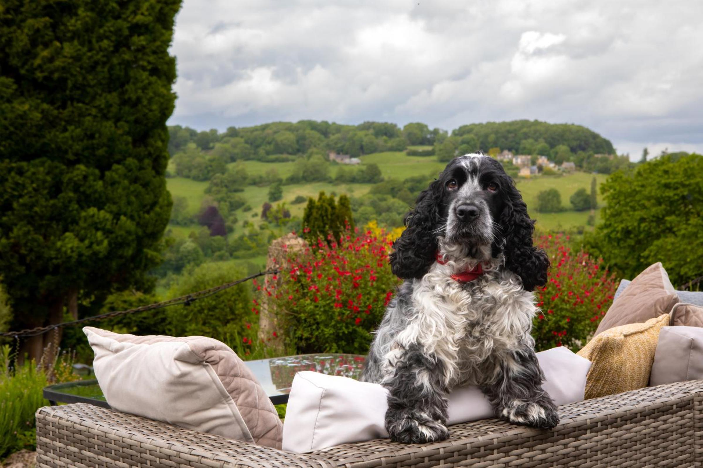 Stroud Vacations - Burleigh Court Hotel - Property Image 24