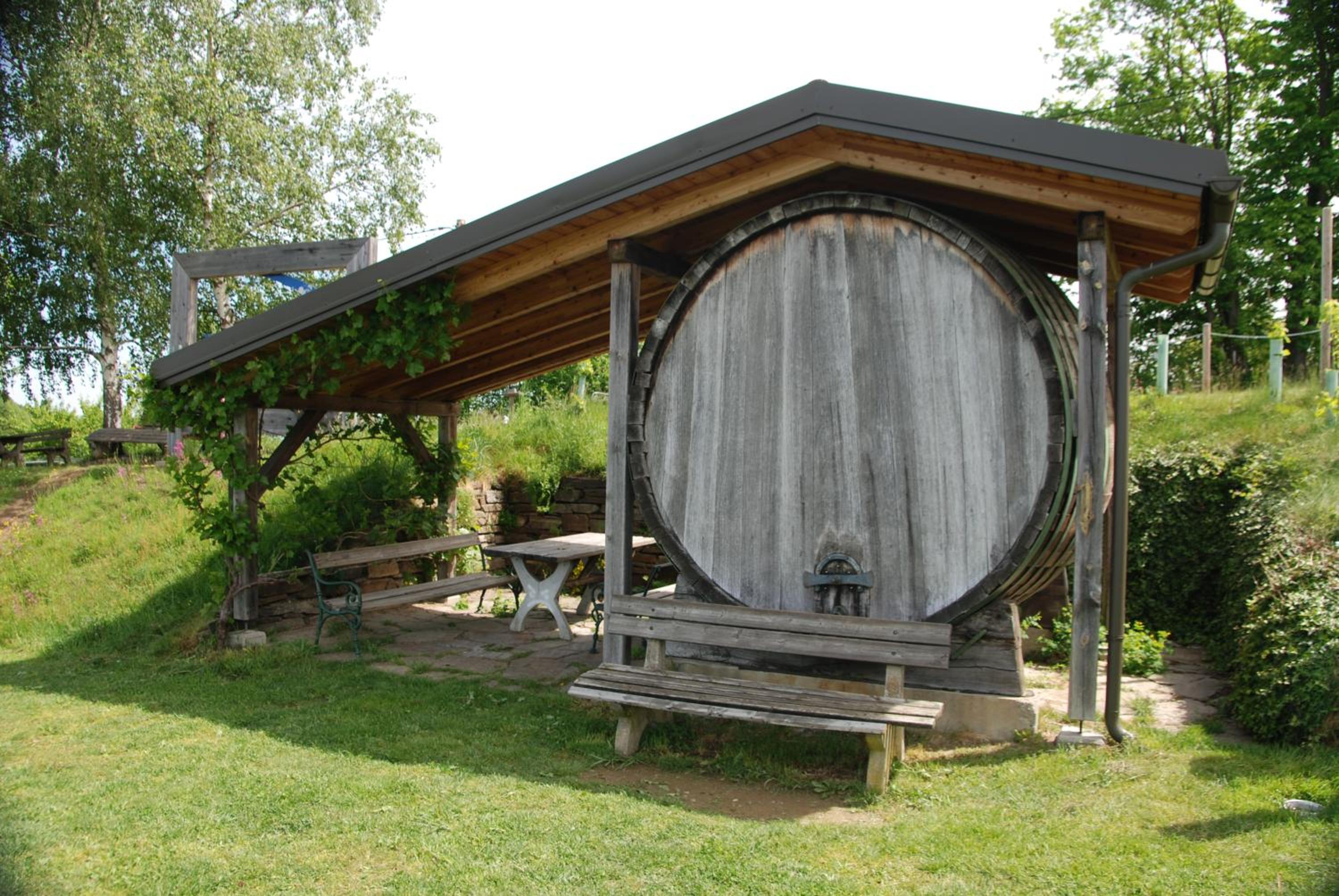 Weinberg-Panoramaferienhaus
