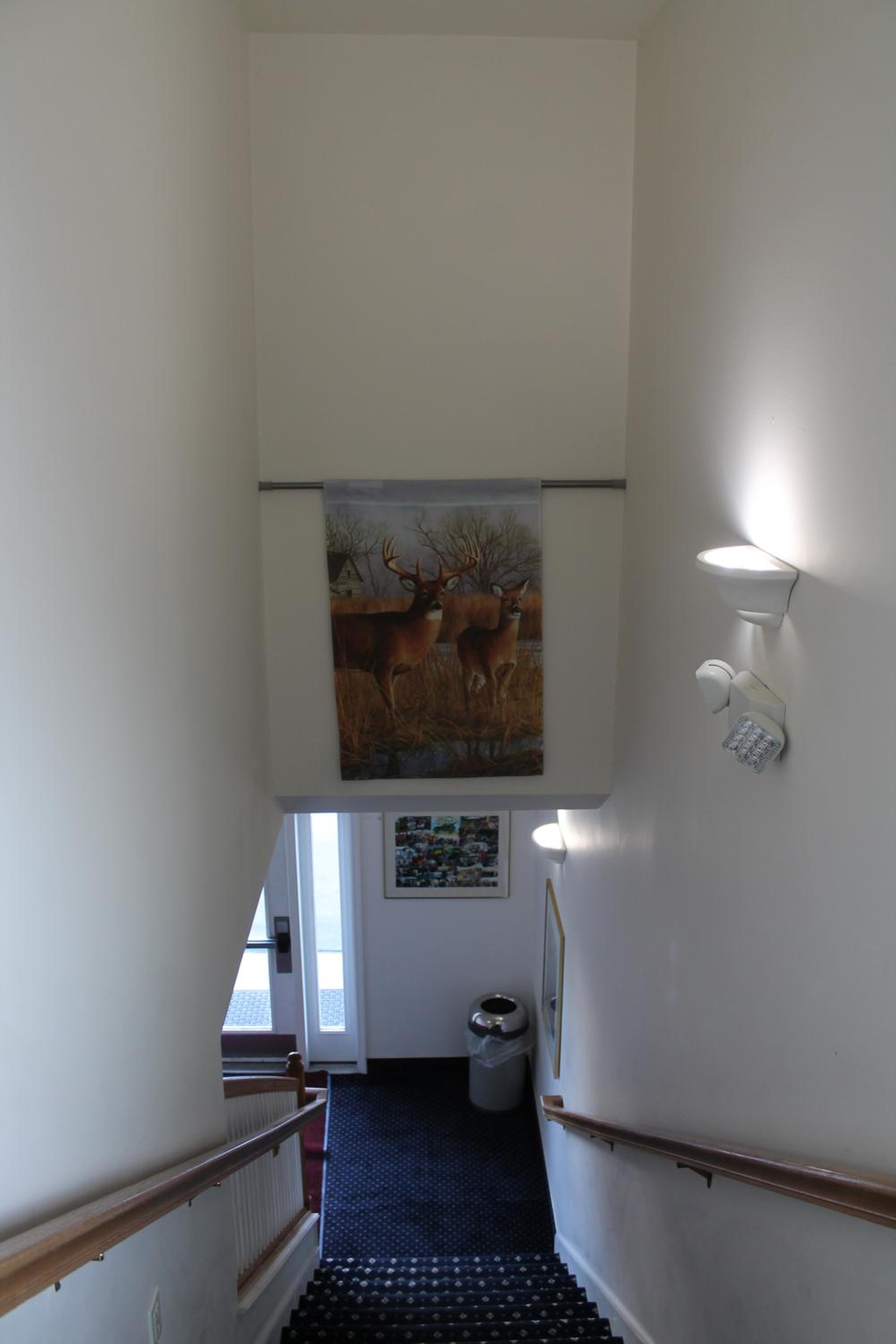 Photo 37