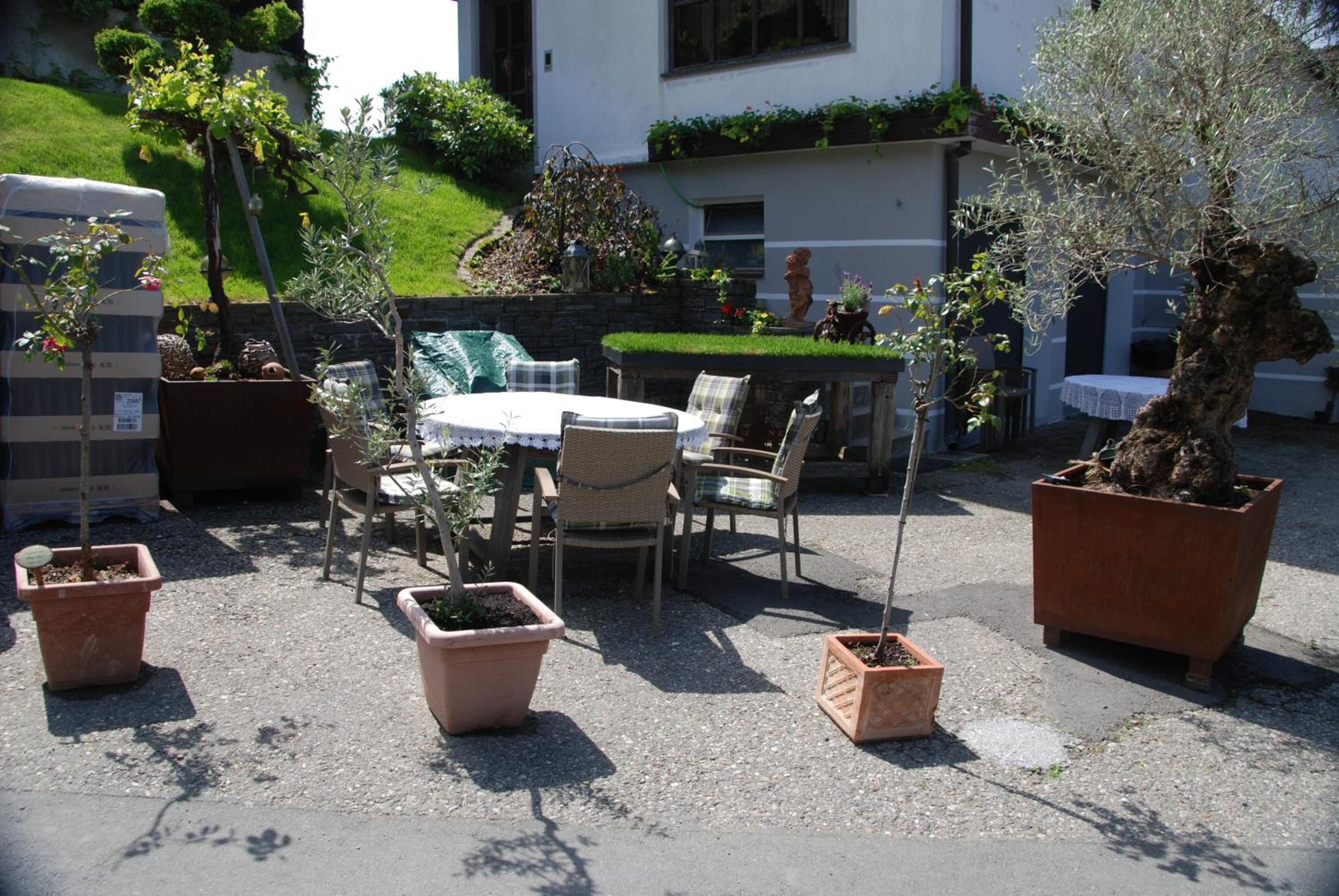Weinberg-Panoramaferienhaus