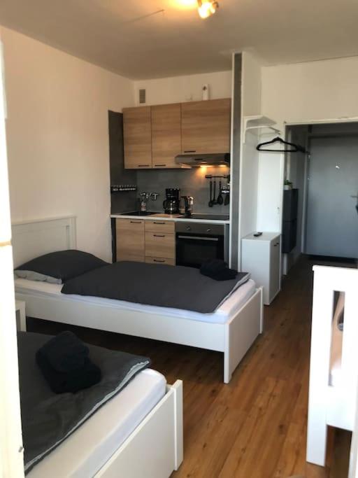 Zentrales Studio-Apartment in Linz, Arbeiter-hit