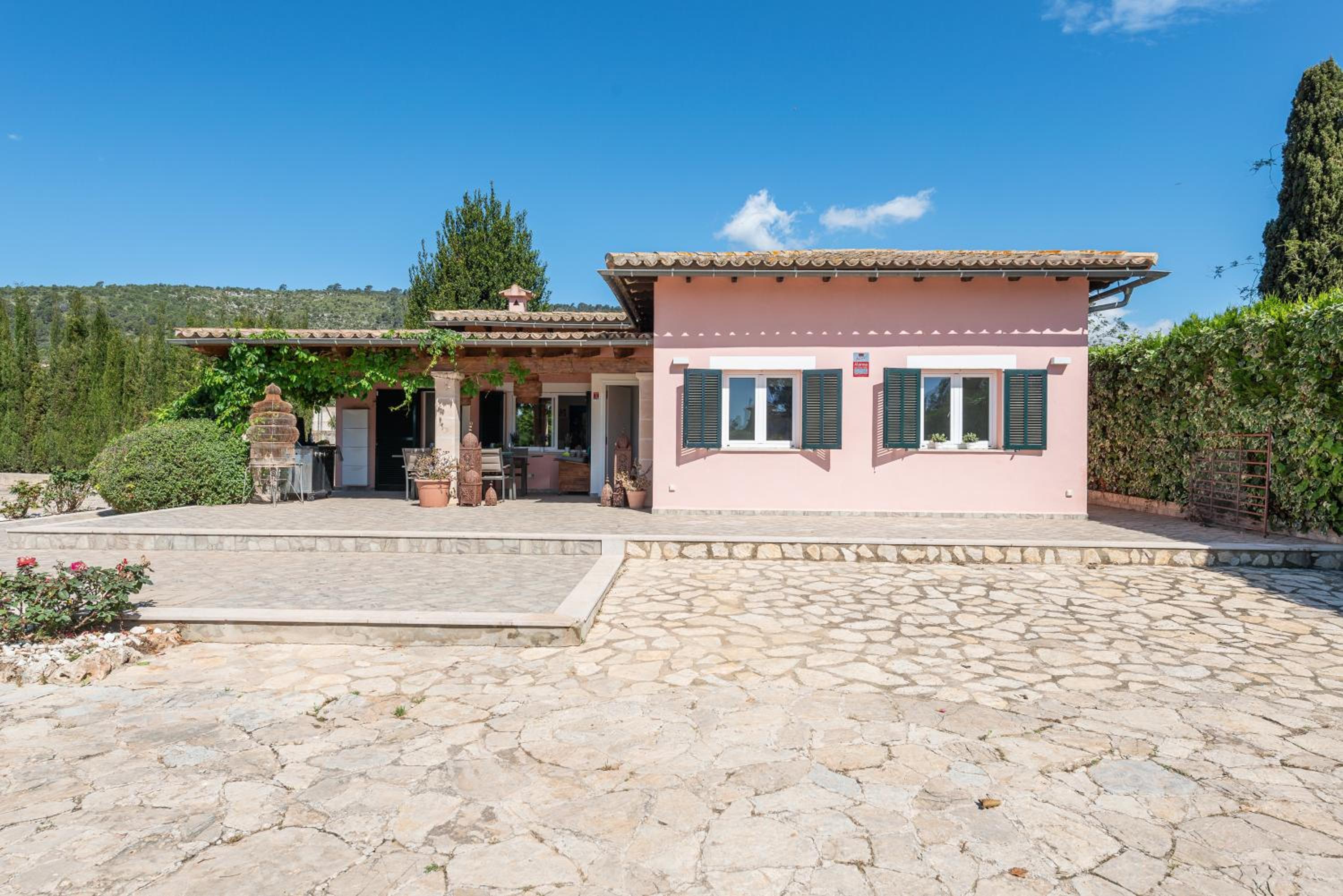 Photo 29