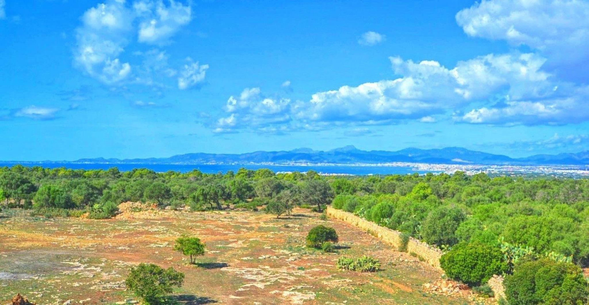 Nettes Ferienhaus in Ses Cadenes mit Privatem Pool