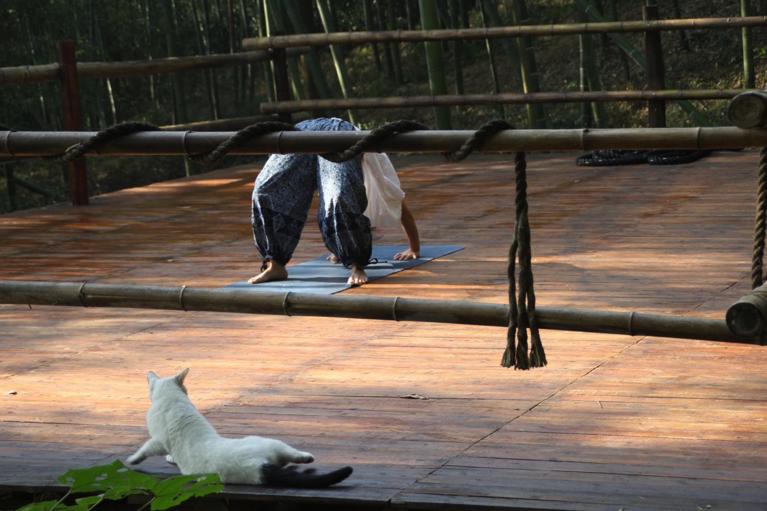 Photo 37