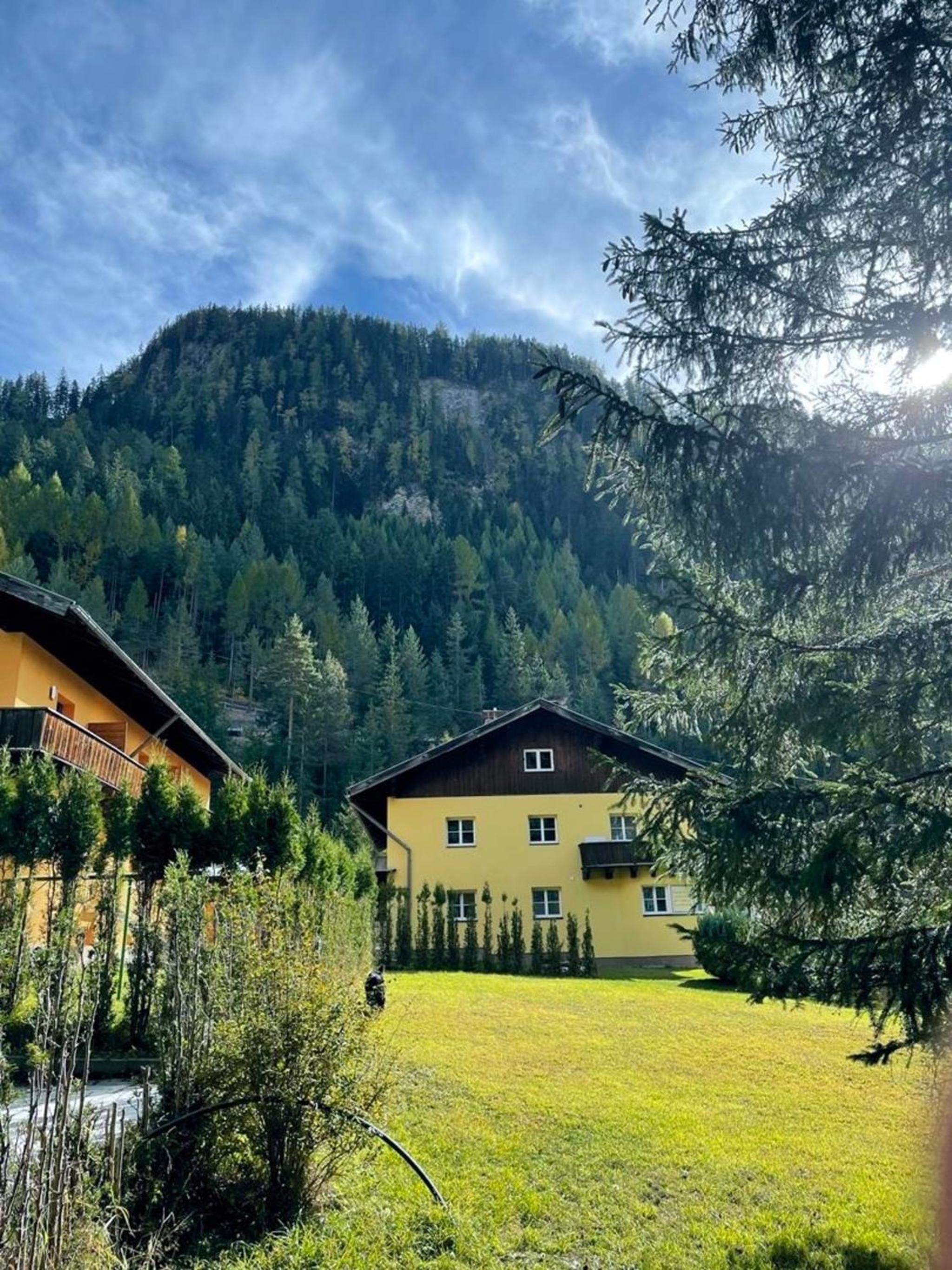 Ferienwohnung Neufundländer view 5