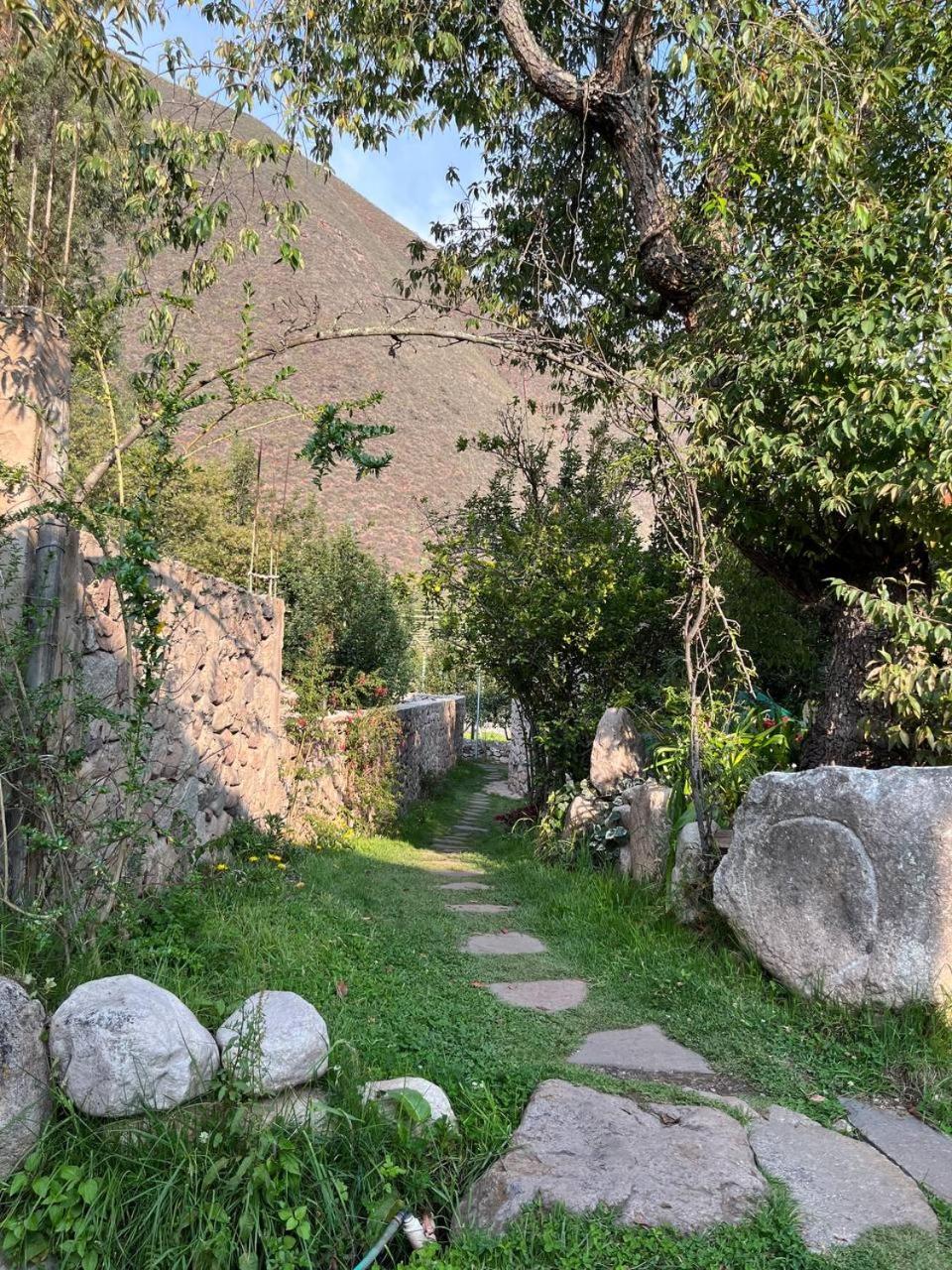 Photo 46
