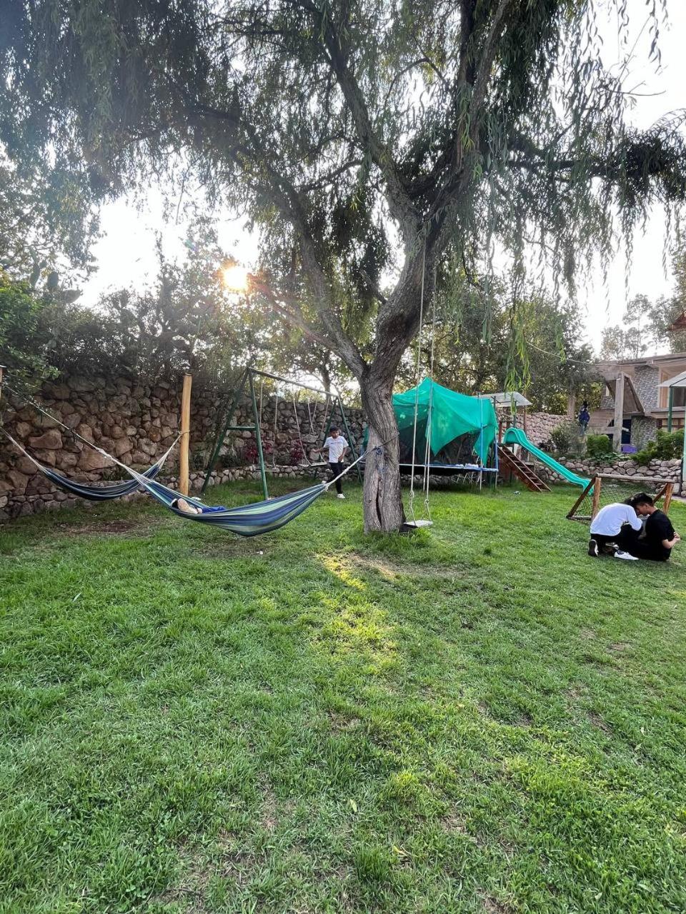 Photo 45